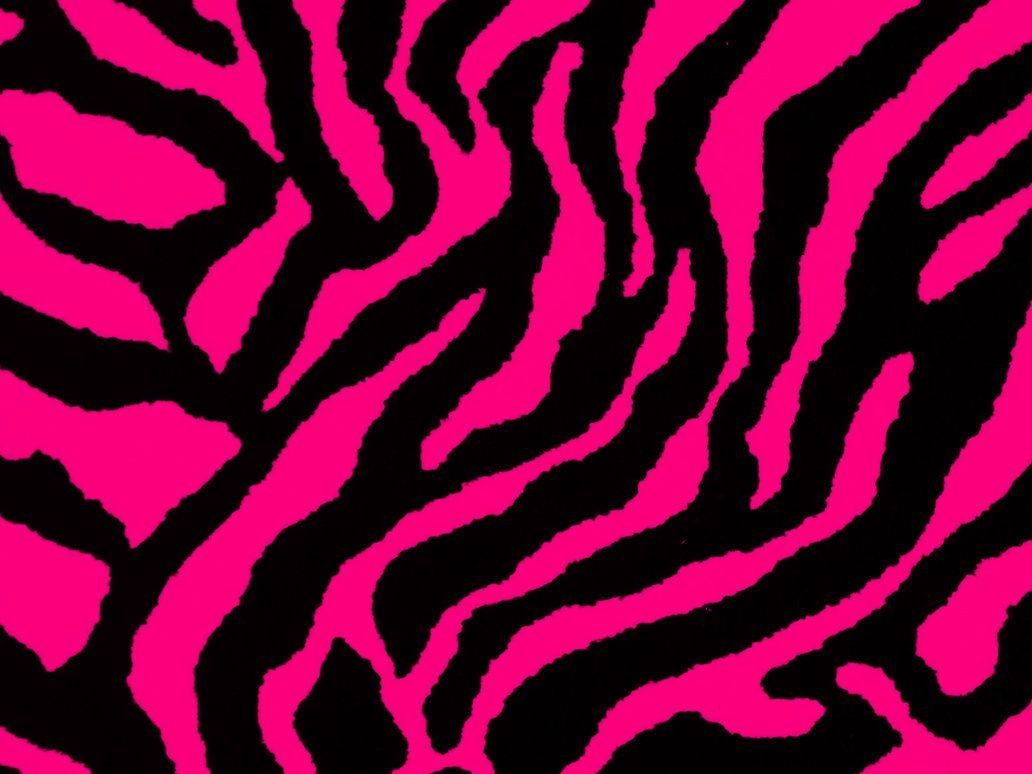 Pink Zebra Wallpapers Top Free Pink Zebra Backgrounds WallpaperAccess