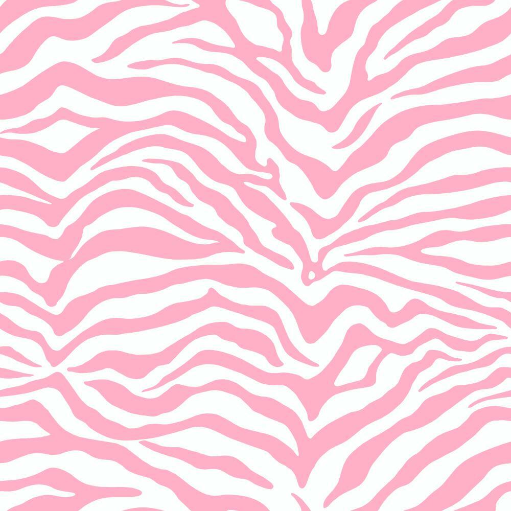 Pink Zebra Wallpapers Top Free Pink Zebra Backgrounds WallpaperAccess