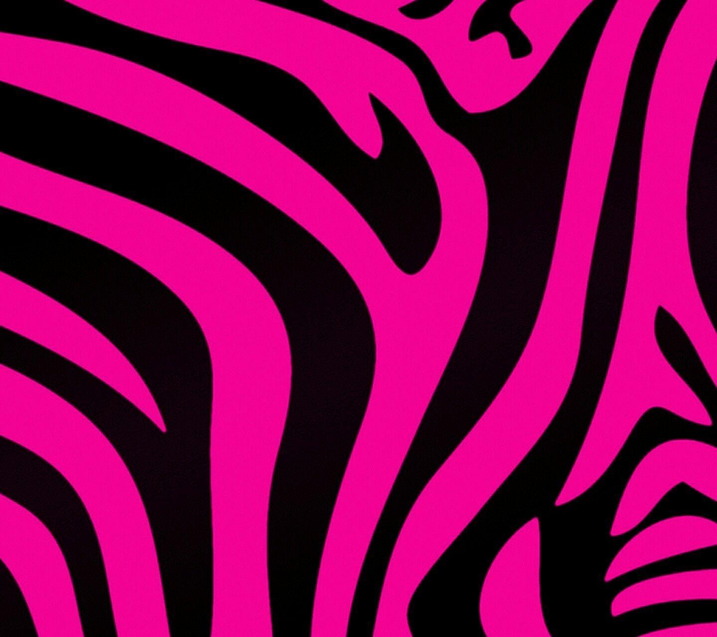 Pink Zebra Wallpapers Top Free Pink Zebra Backgrounds WallpaperAccess