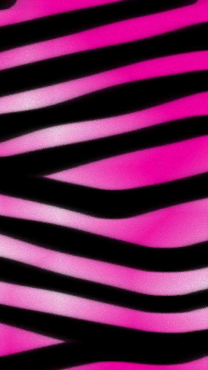 Pink Zebra Wallpapers Top Free Pink Zebra Backgrounds WallpaperAccess