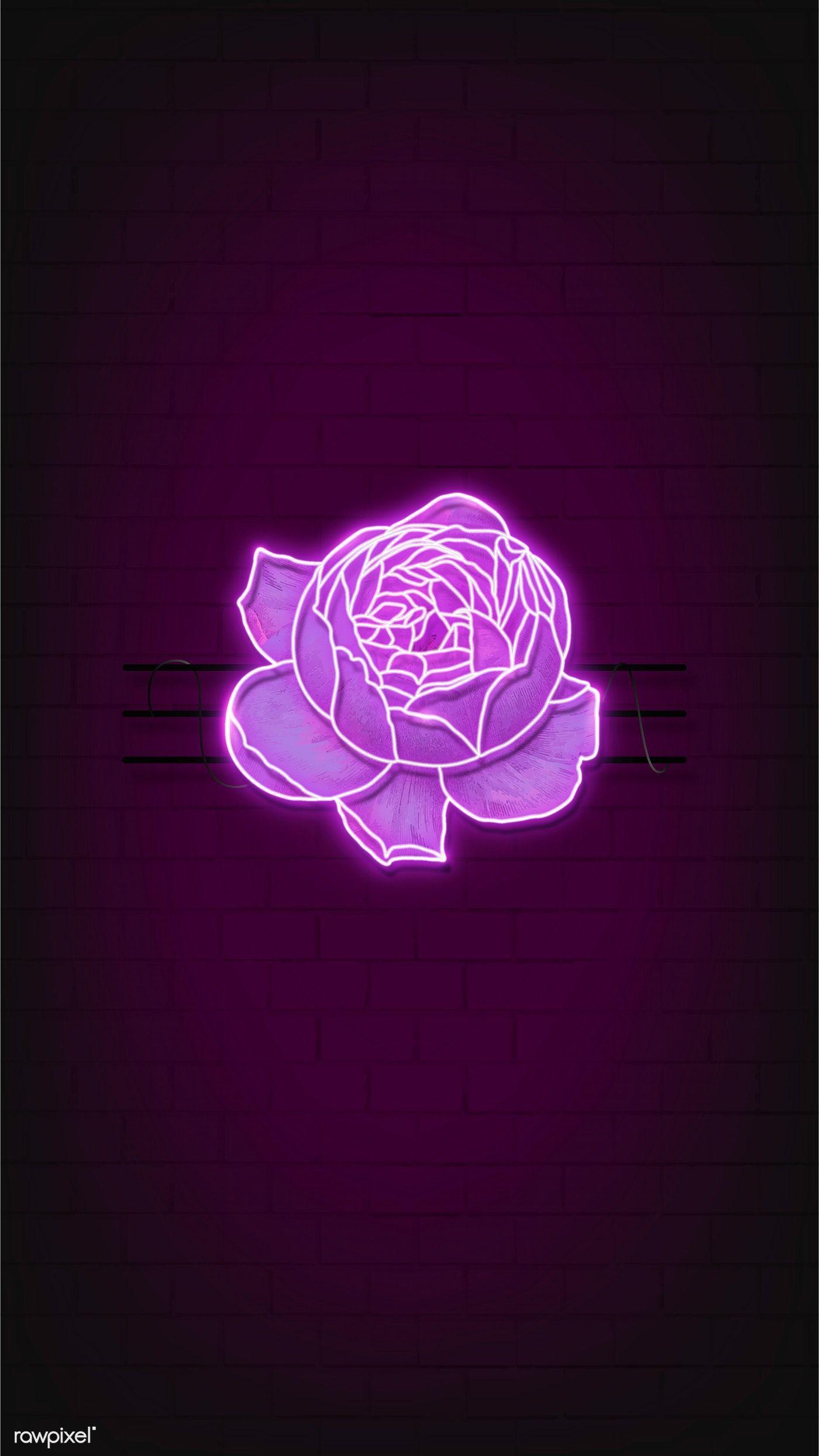 Cool Neon Rose Wallpapers Top Free Cool Neon Rose Backgrounds