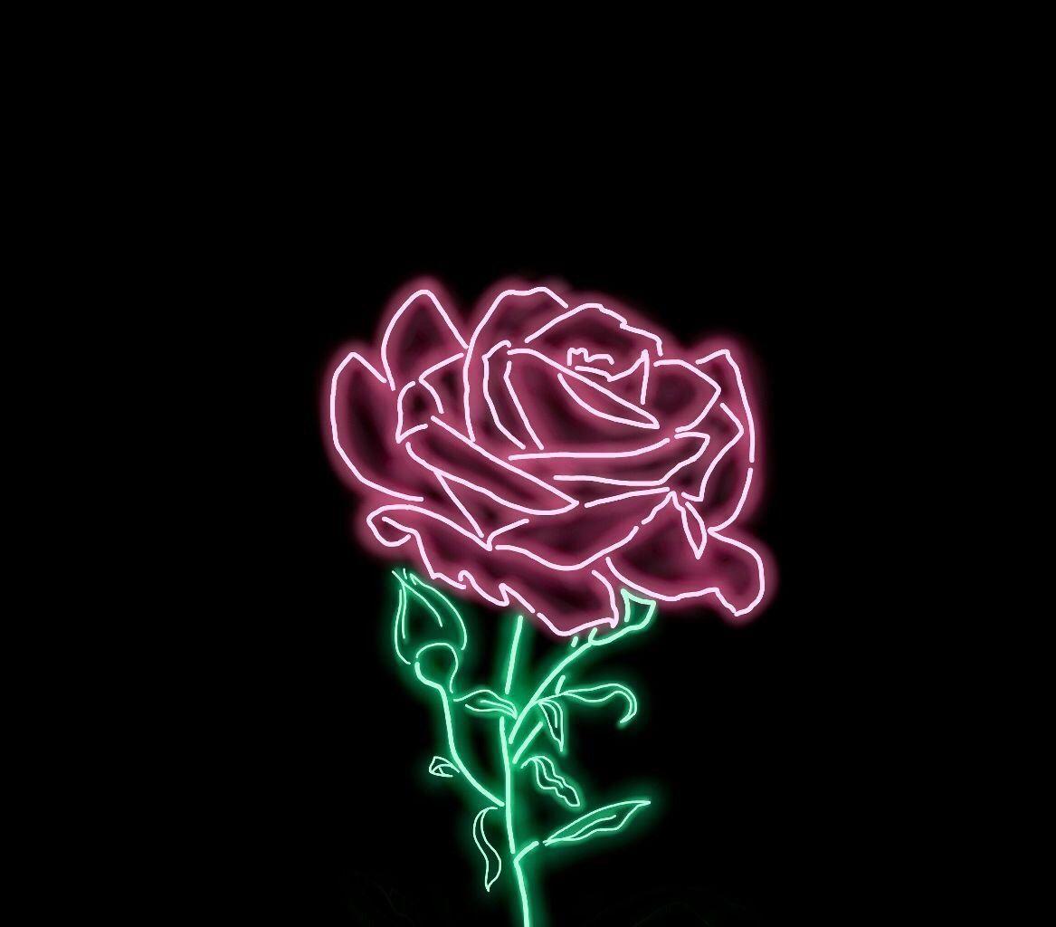 Cool Neon Rose Wallpapers Top Free Cool Neon Rose Backgrounds