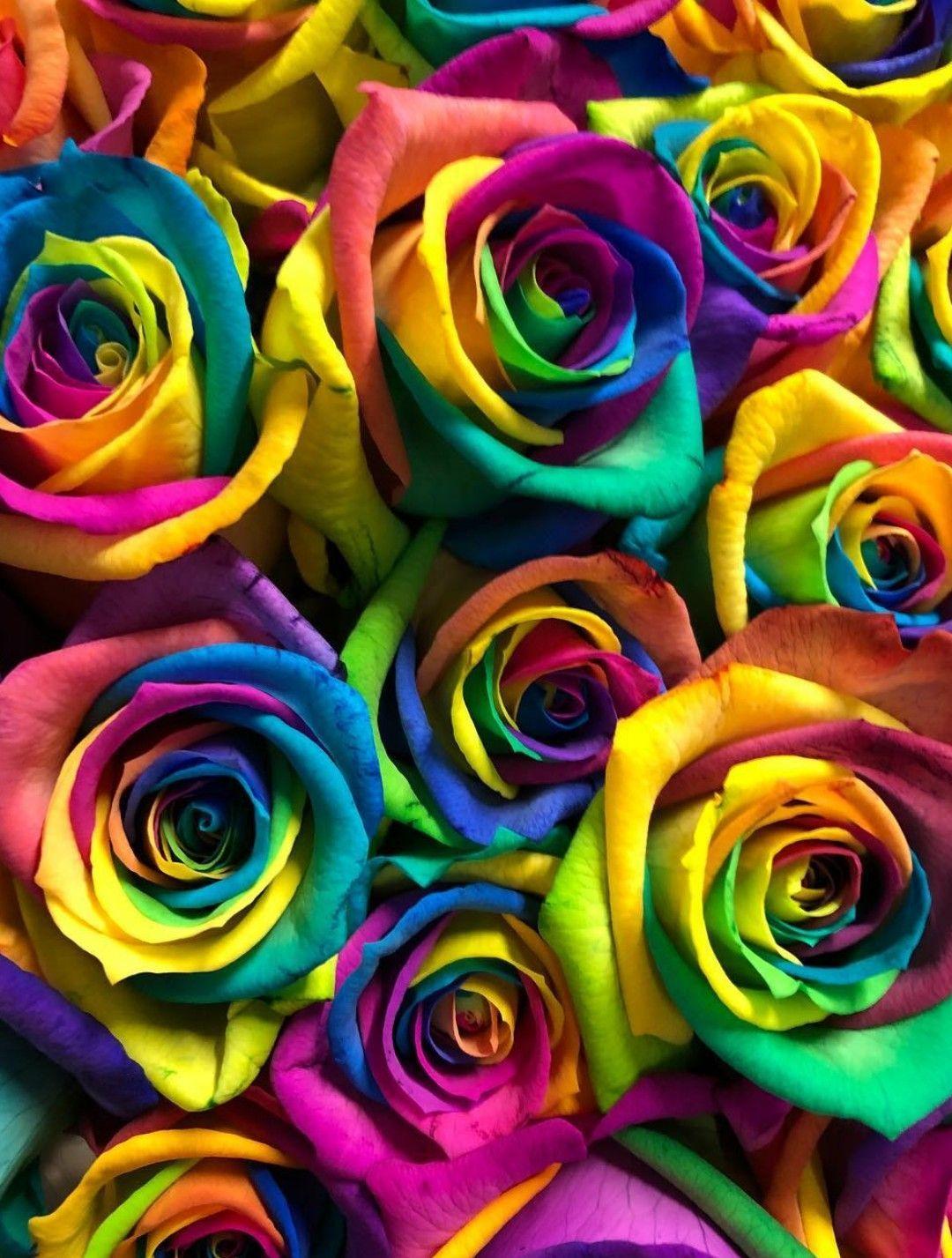 Rainbow Flower iPhone Wallpapers Top Free Rainbow Flower iPhone