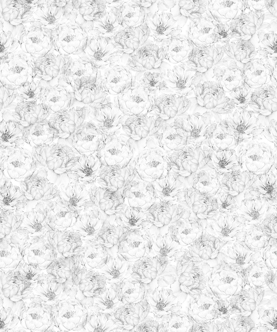 Neutral Floral Wallpapers Top Free Neutral Floral Backgrounds