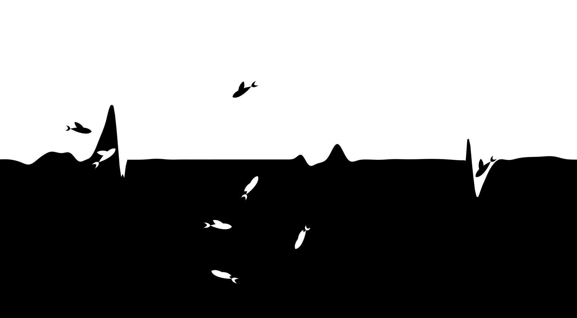 Black Noir Wallpapers Top Free Black Noir Backgrounds WallpaperAccess