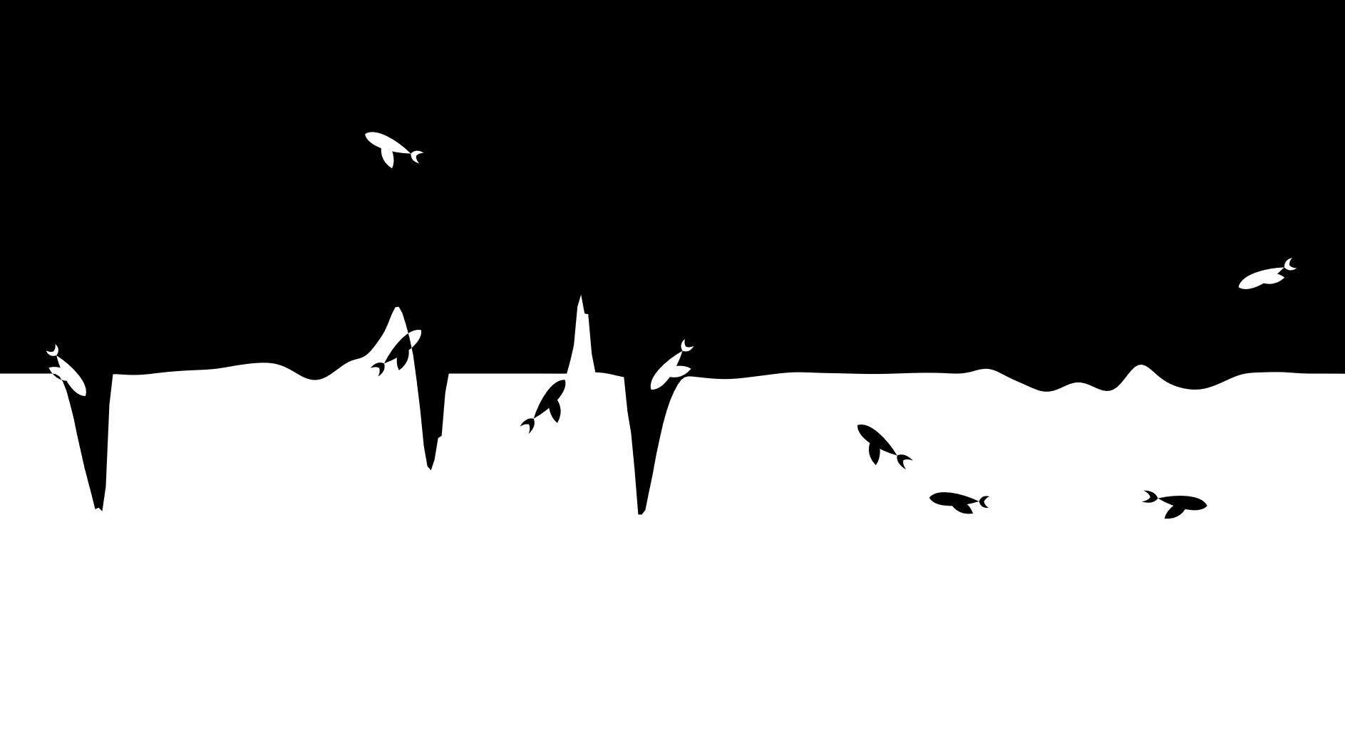 Black Noir Wallpapers Top Free Black Noir Backgrounds WallpaperAccess