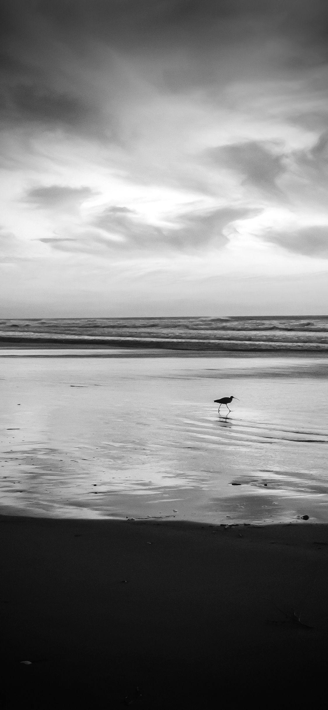 Beach Black and White Wallpapers Top Free Beach Black and White