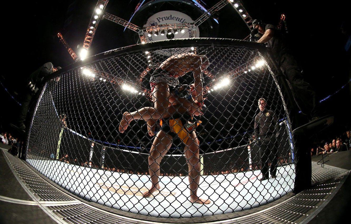UFC Cage Wallpapers Top Free UFC Cage Backgrounds WallpaperAccess