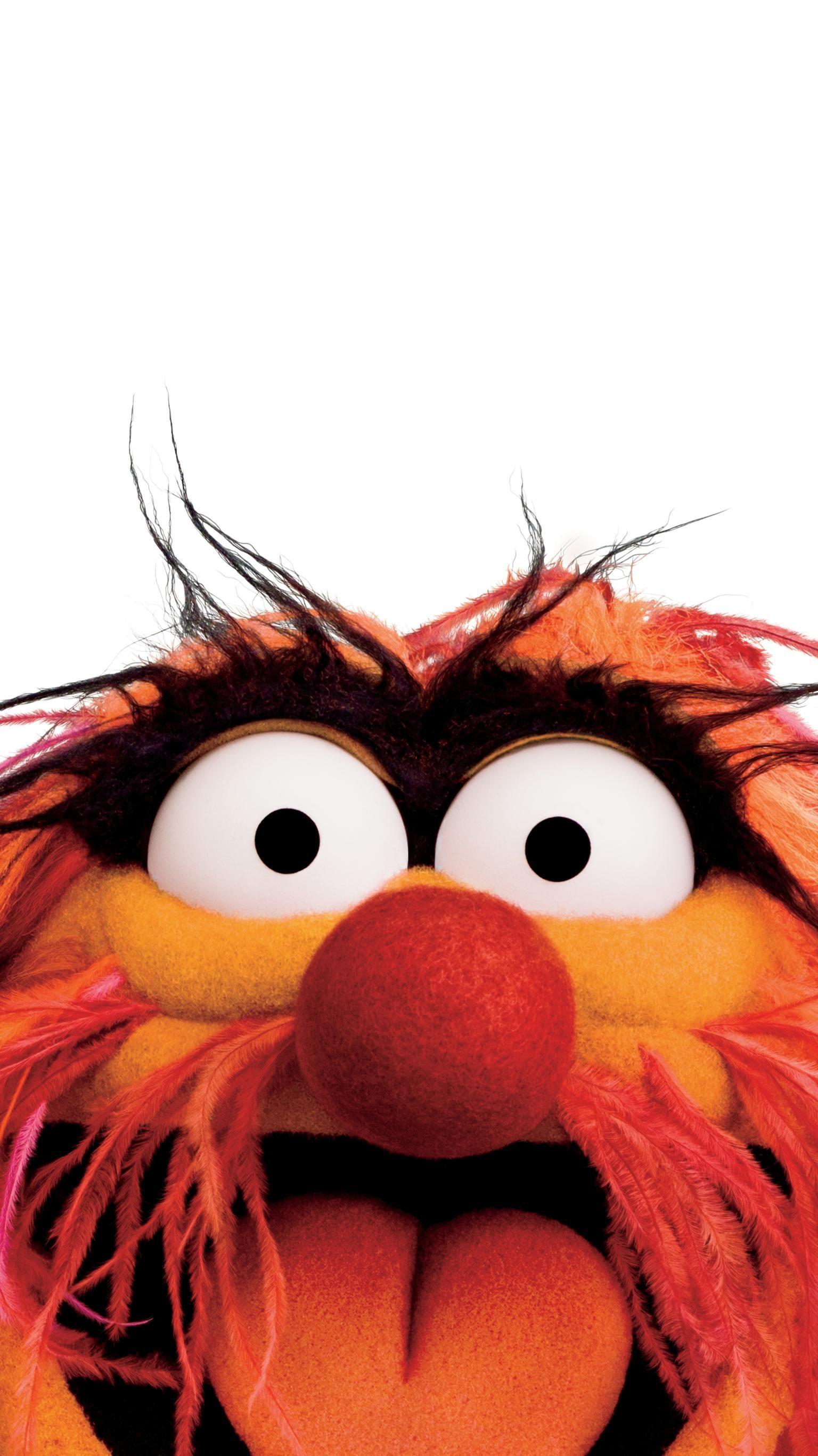 Animal Muppet Wallpapers Top Free Animal Muppet Backgrounds