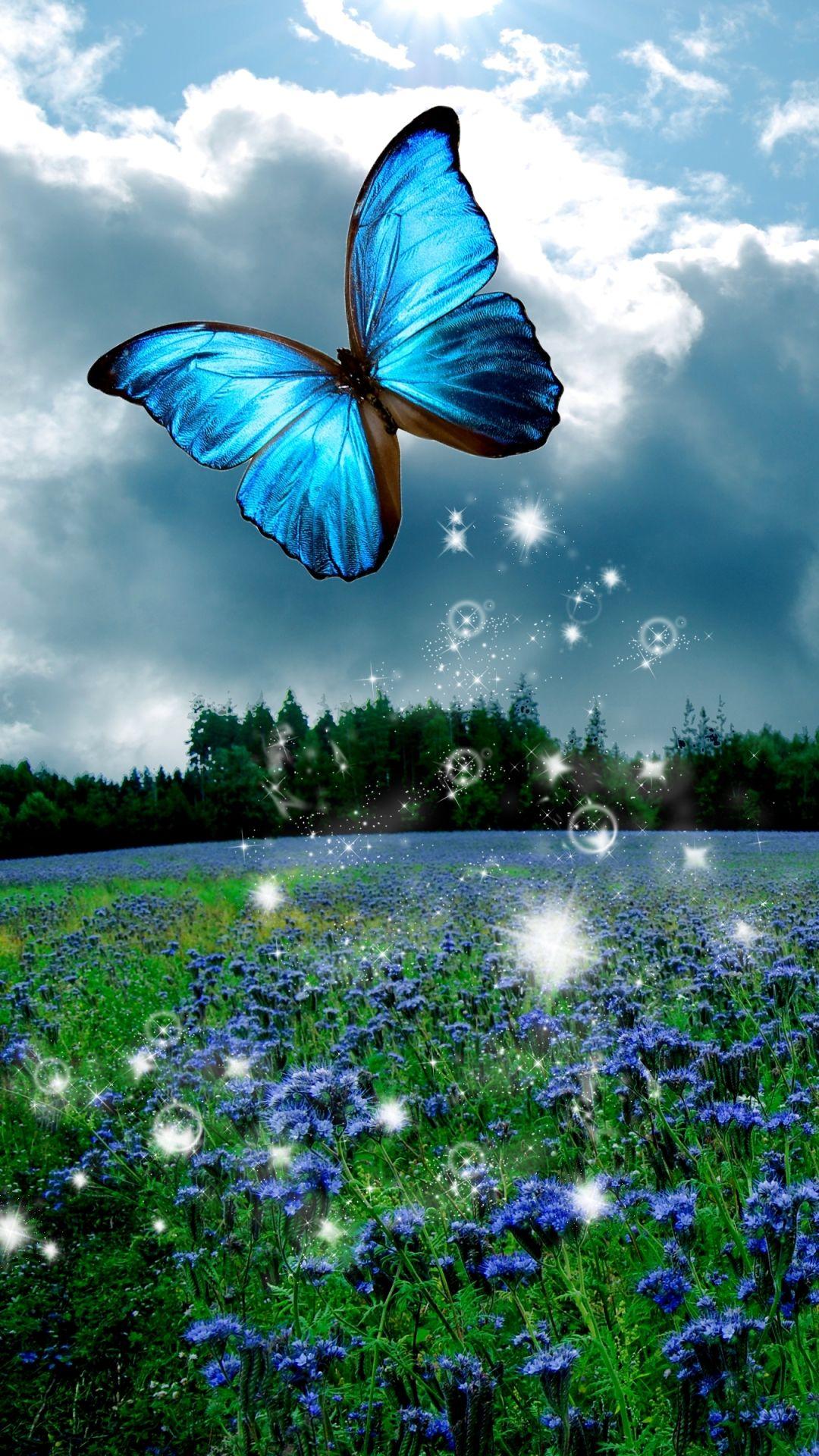 Butterfly Mobile HD Wallpapers Top Free Butterfly Mobile HD