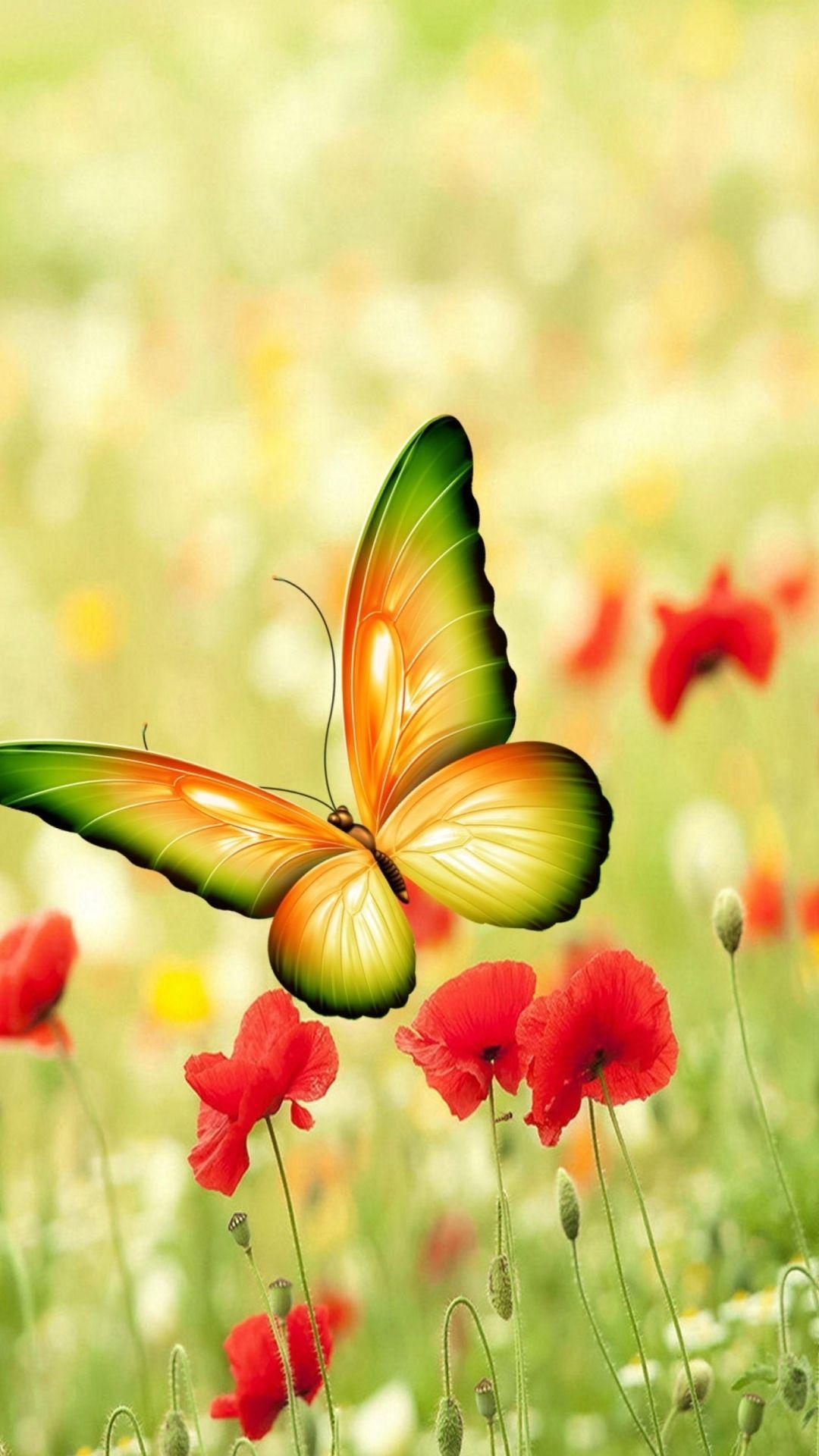 Beautiful Butterfly iPhone Wallpapers Top Free Beautiful Butterfly