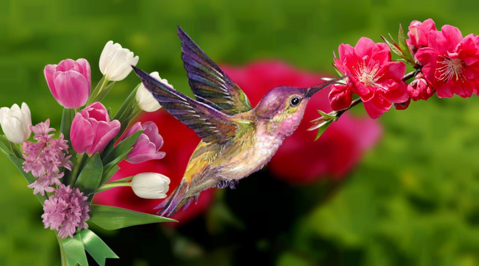 Spring Flowers and Birds Wallpapers Top Free Spring Flowers and Birds