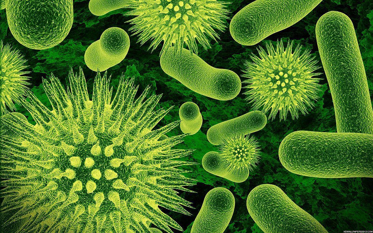 Viruses Wallpapers Top Free Viruses Backgrounds WallpaperAccess