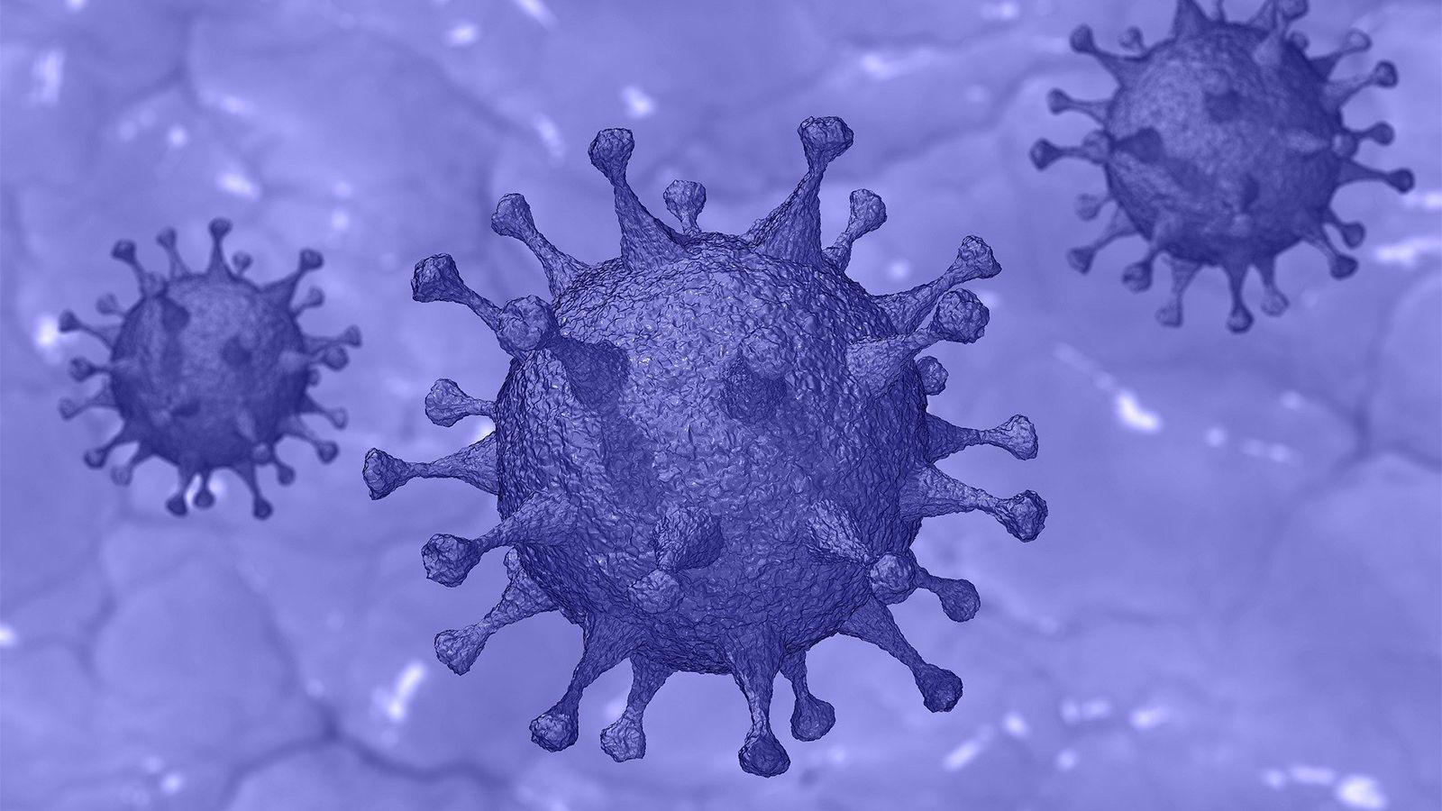 Viruses Wallpapers Top Free Viruses Backgrounds WallpaperAccess