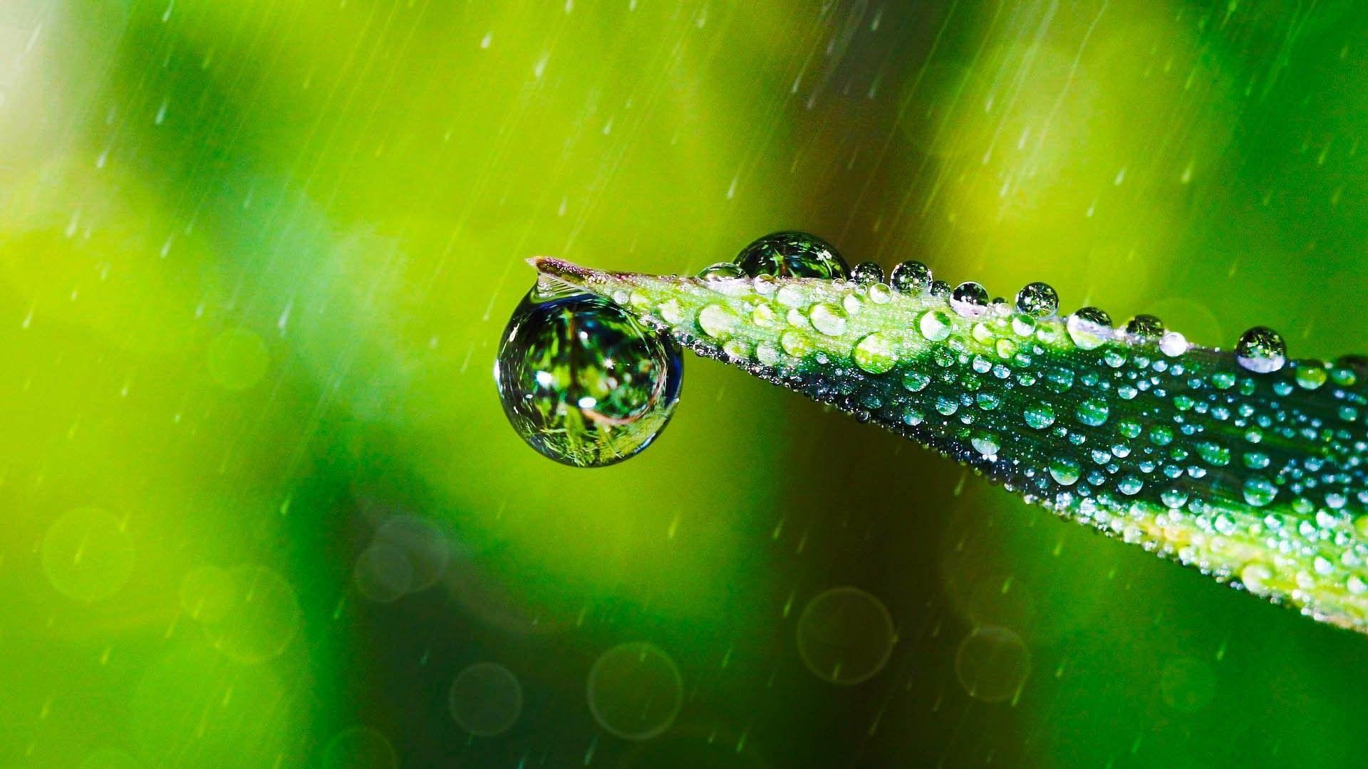 Mind Relaxing Wallpapers Top Free Mind Relaxing Backgrounds