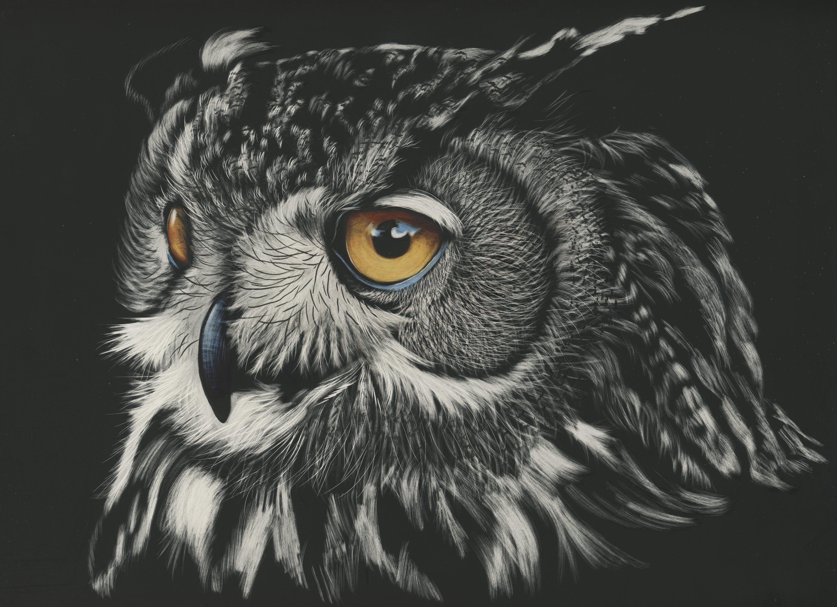 Owl Artwork Wallpapers Top Free Owl Artwork Backgrounds WallpaperAccess