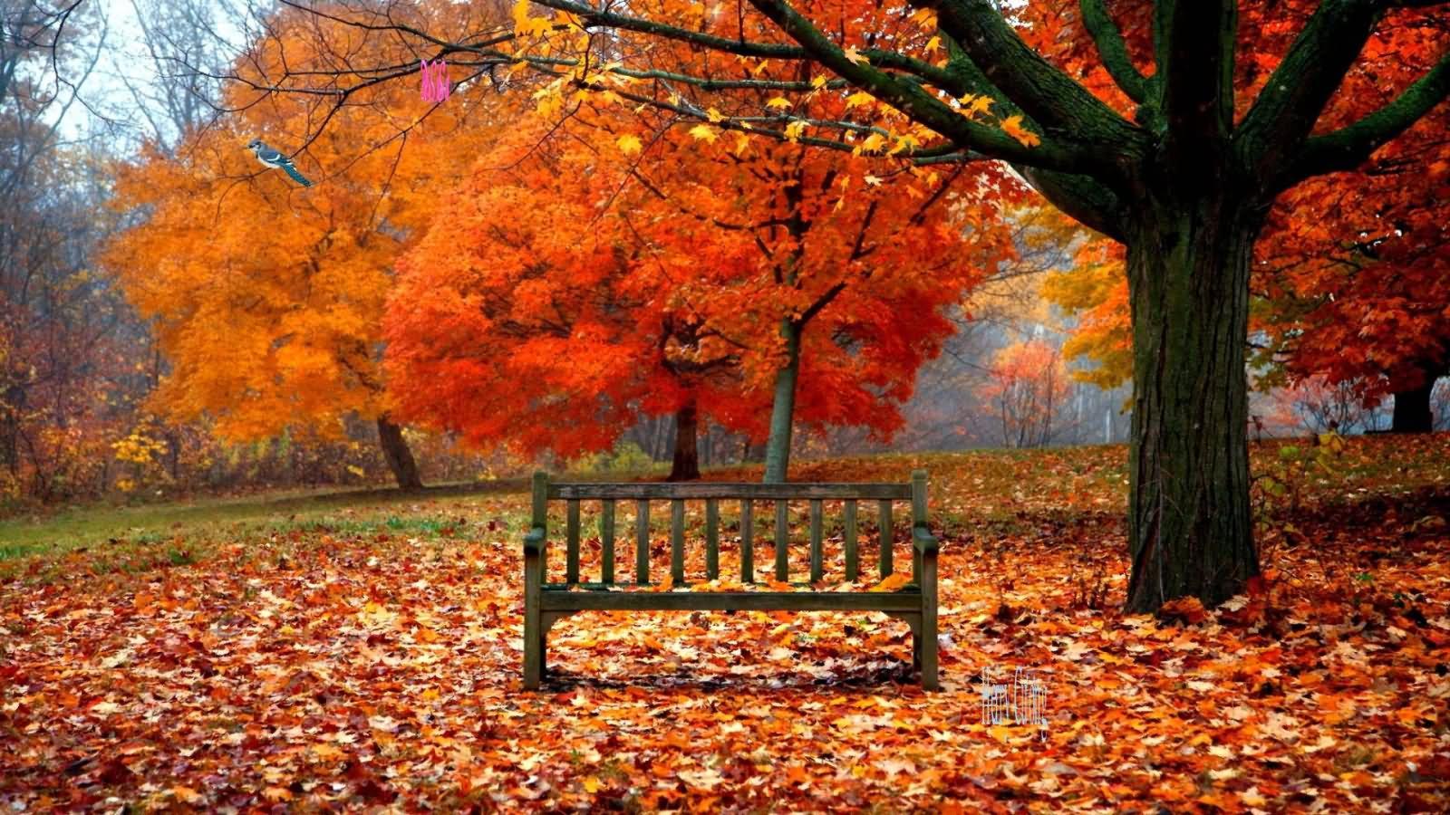 Happy Autumn Wallpapers Top Free Happy Autumn Backgrounds