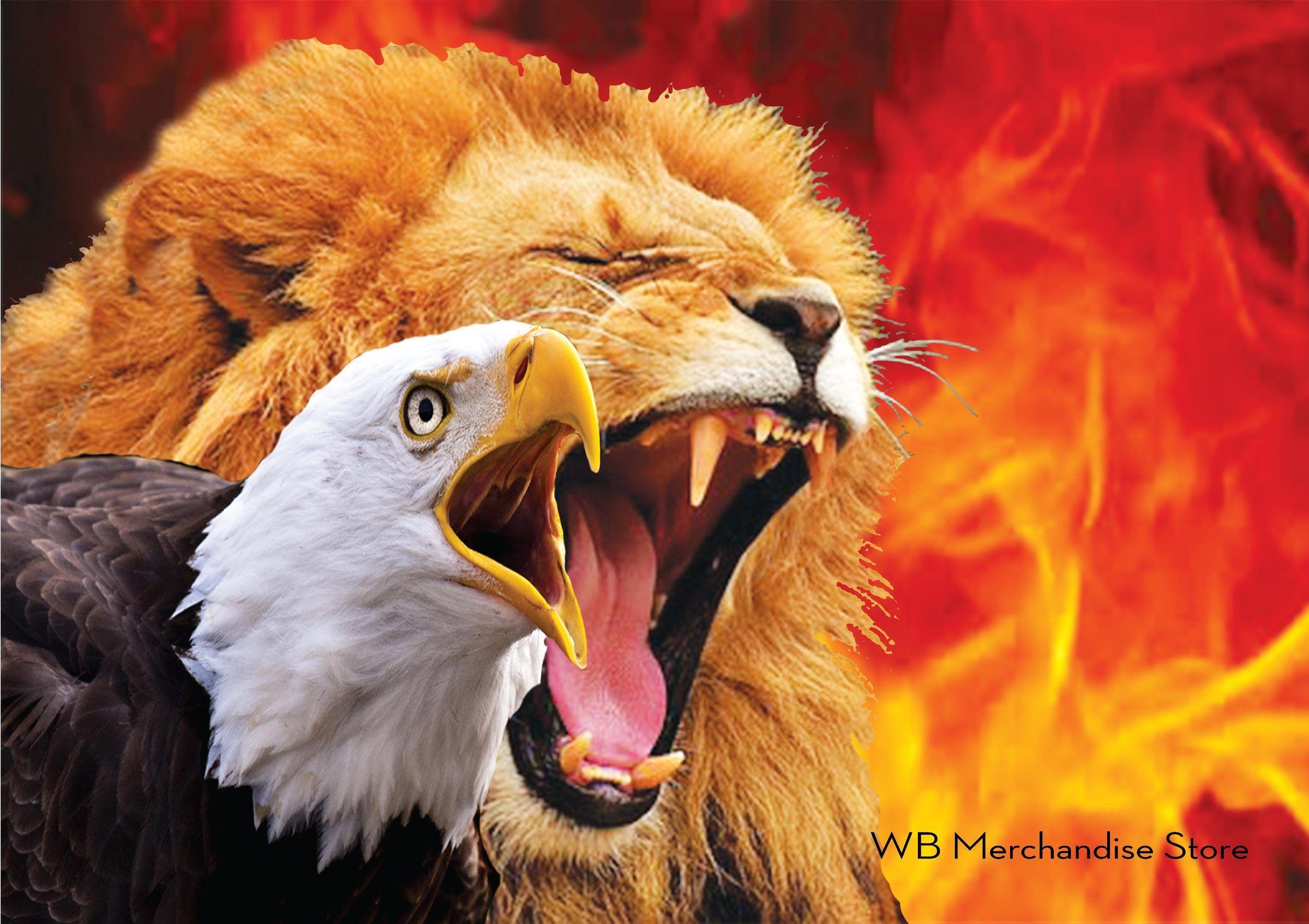 Eagle and Lion Wallpapers Top Free Eagle and Lion Backgrounds