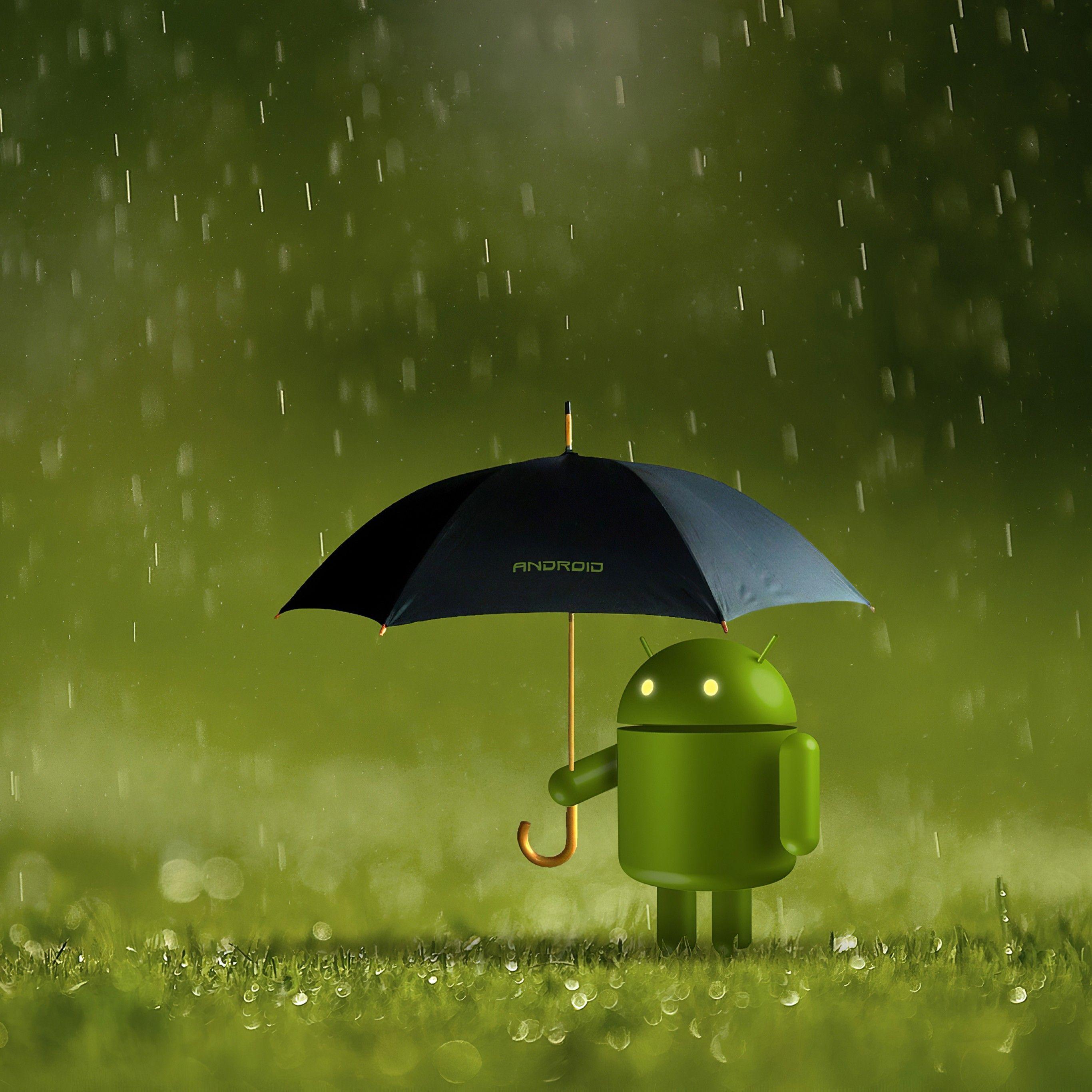 Green Android Wallpapers Top Free Green Android Backgrounds
