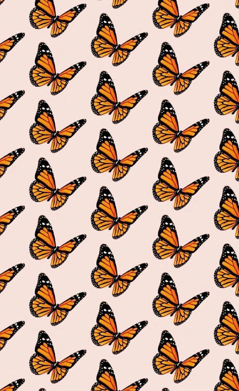 Orange Butterfly iPhone Wallpapers Top Free Orange Butterfly iPhone