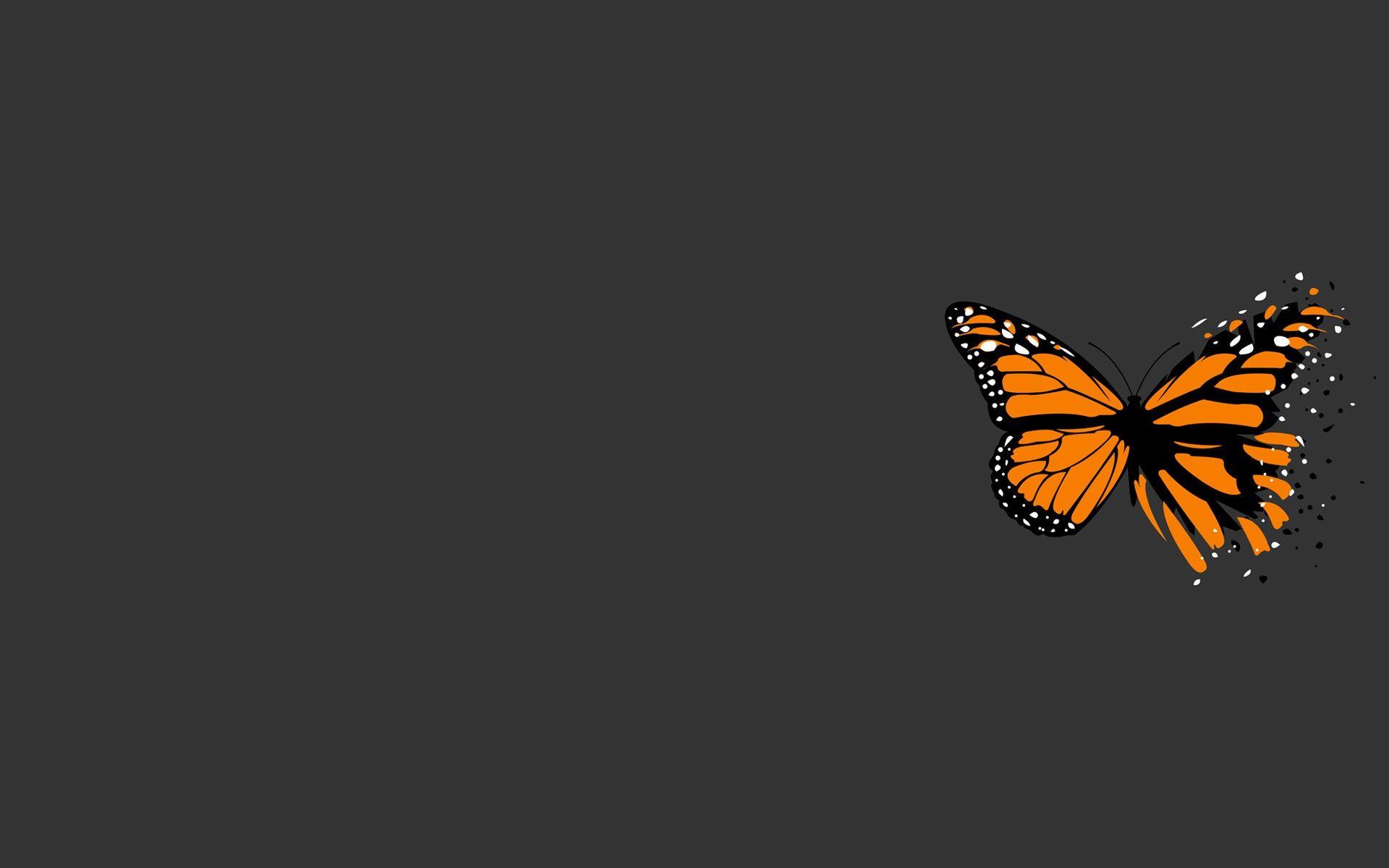 Butterflies Aesthetic Desktop Wallpapers Top Free Butterflies