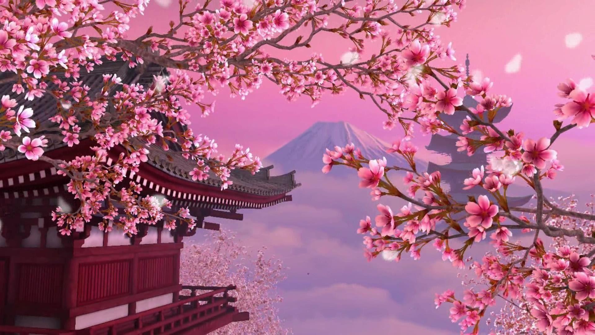 Pink Japanese Aesthetic Wallpapers Top Free Pink Japanese Aesthetic