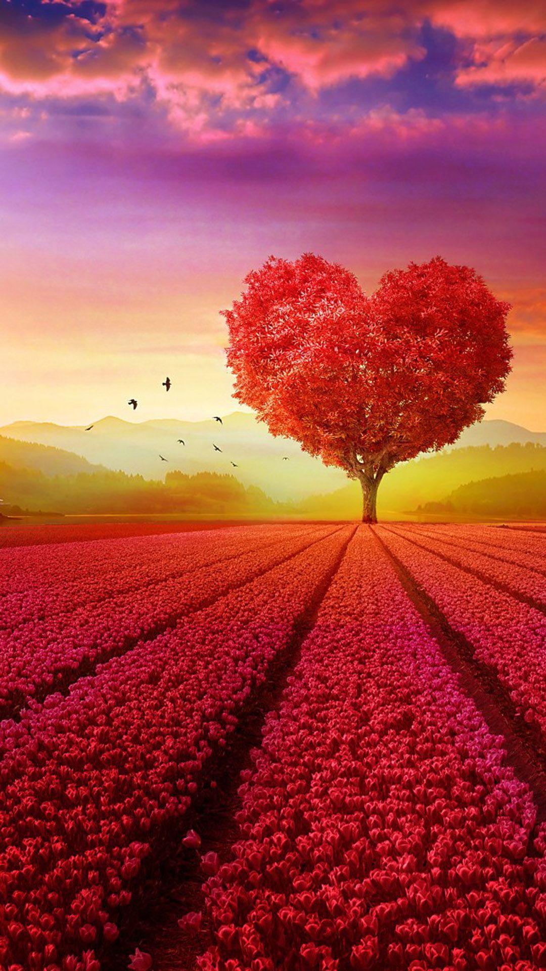 Romantic Nature Wallpapers Top Free Romantic Nature Backgrounds WallpaperAccess