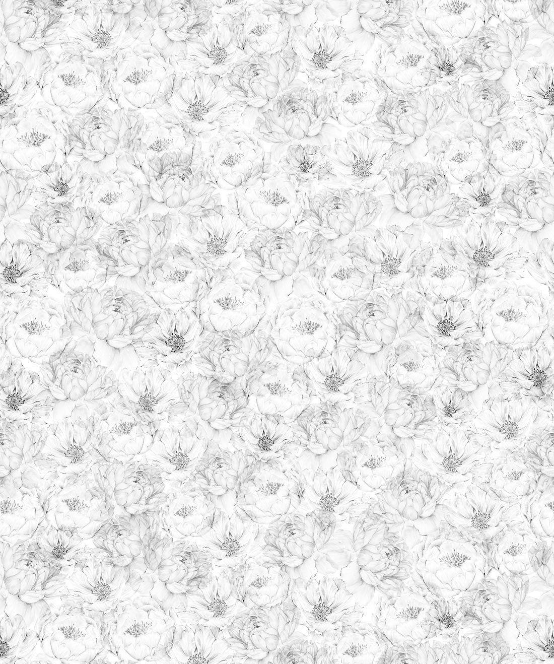 White Floral Wallpapers Top Free White Floral Backgrounds
