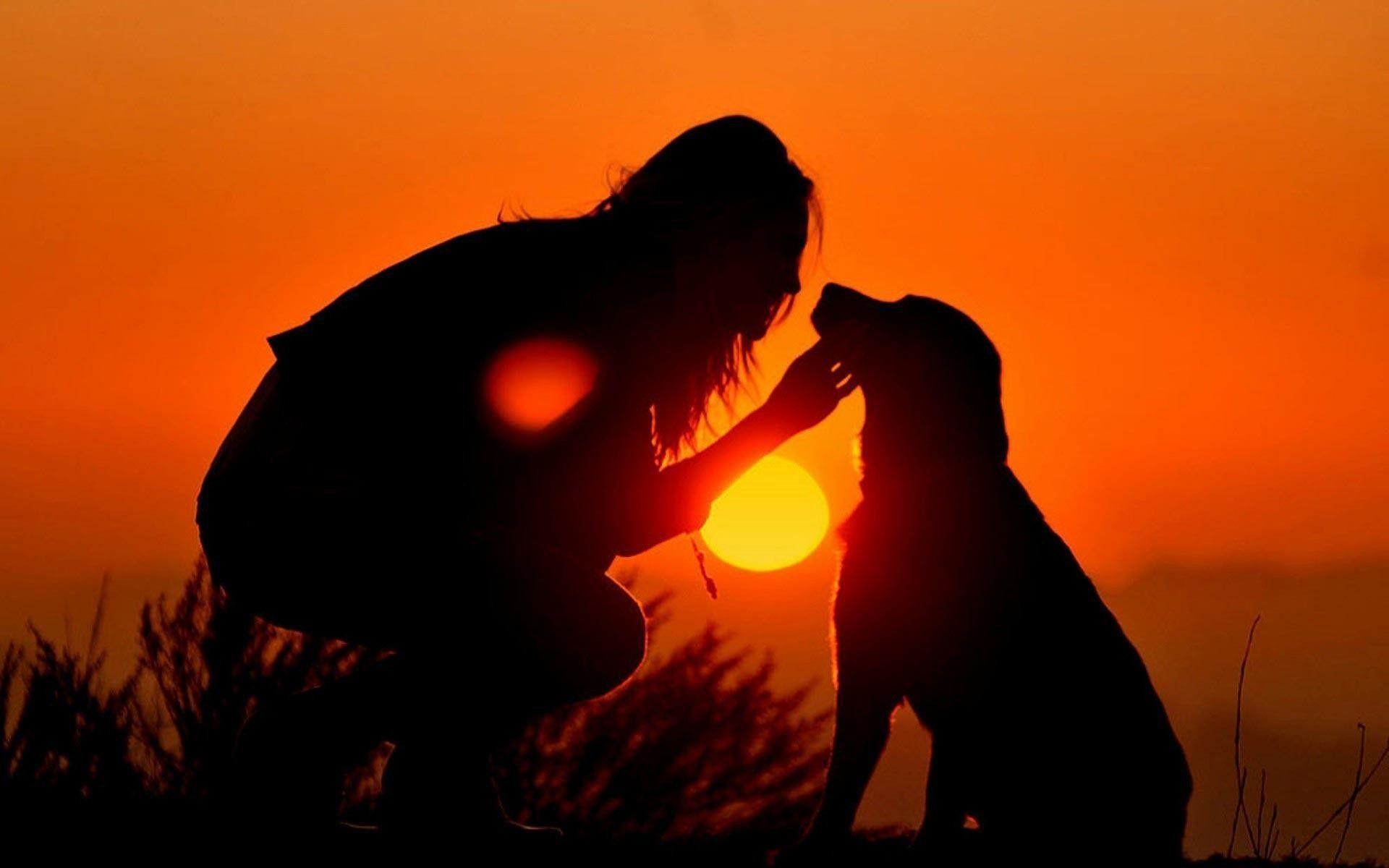 Dog Love Wallpapers Top Free Dog Love Backgrounds WallpaperAccess