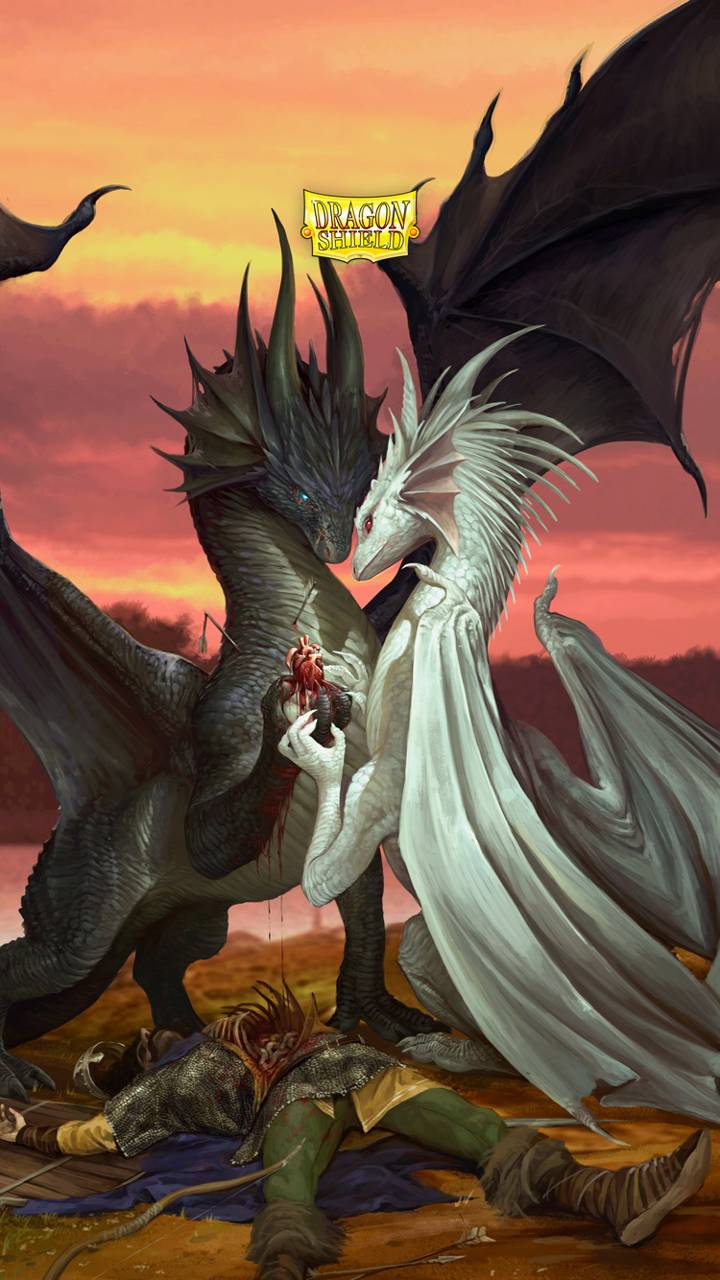 Love Dragon Wallpapers Top Free Love Dragon Backgrounds WallpaperAccess