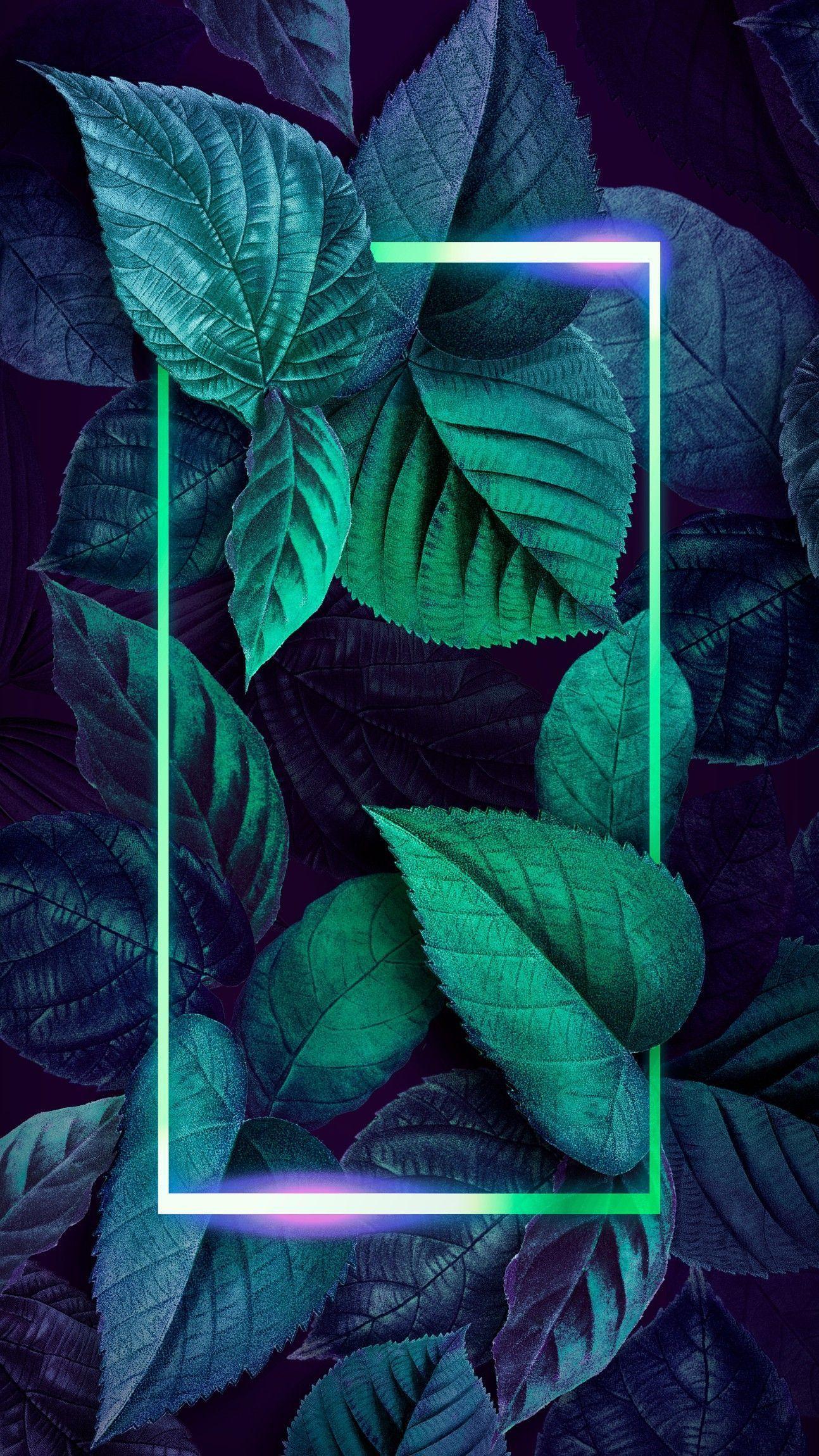 Neon Plants Wallpapers Top Free Neon Plants Backgrounds WallpaperAccess
