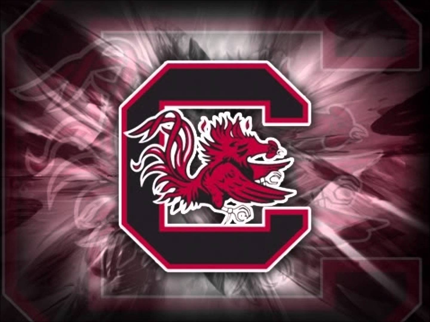 South Carolina Gamecocks Wallpapers Top Free South Carolina Gamecocks