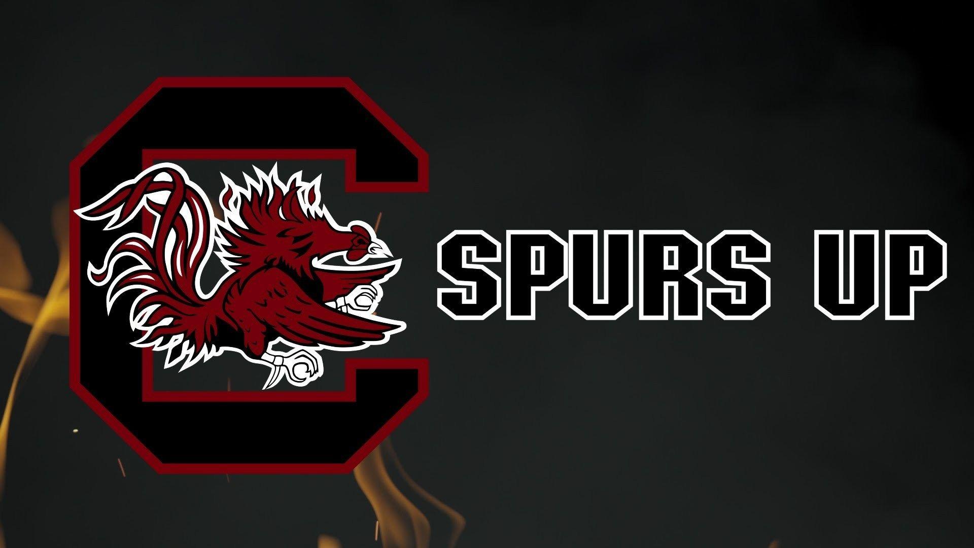 South Carolina Gamecocks Wallpapers Top Free South Carolina Gamecocks