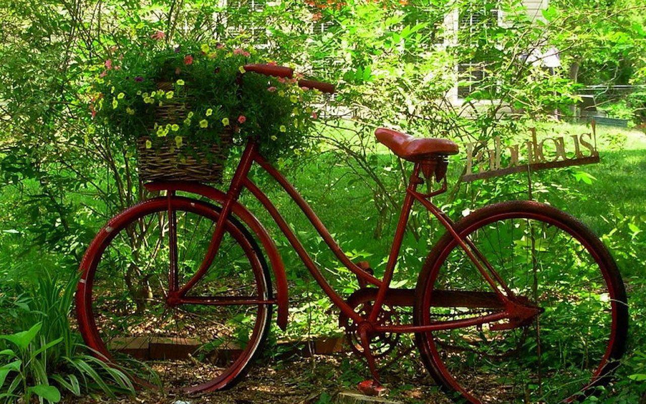 Red Bicycle Wallpapers Top Free Red Bicycle Backgrounds WallpaperAccess