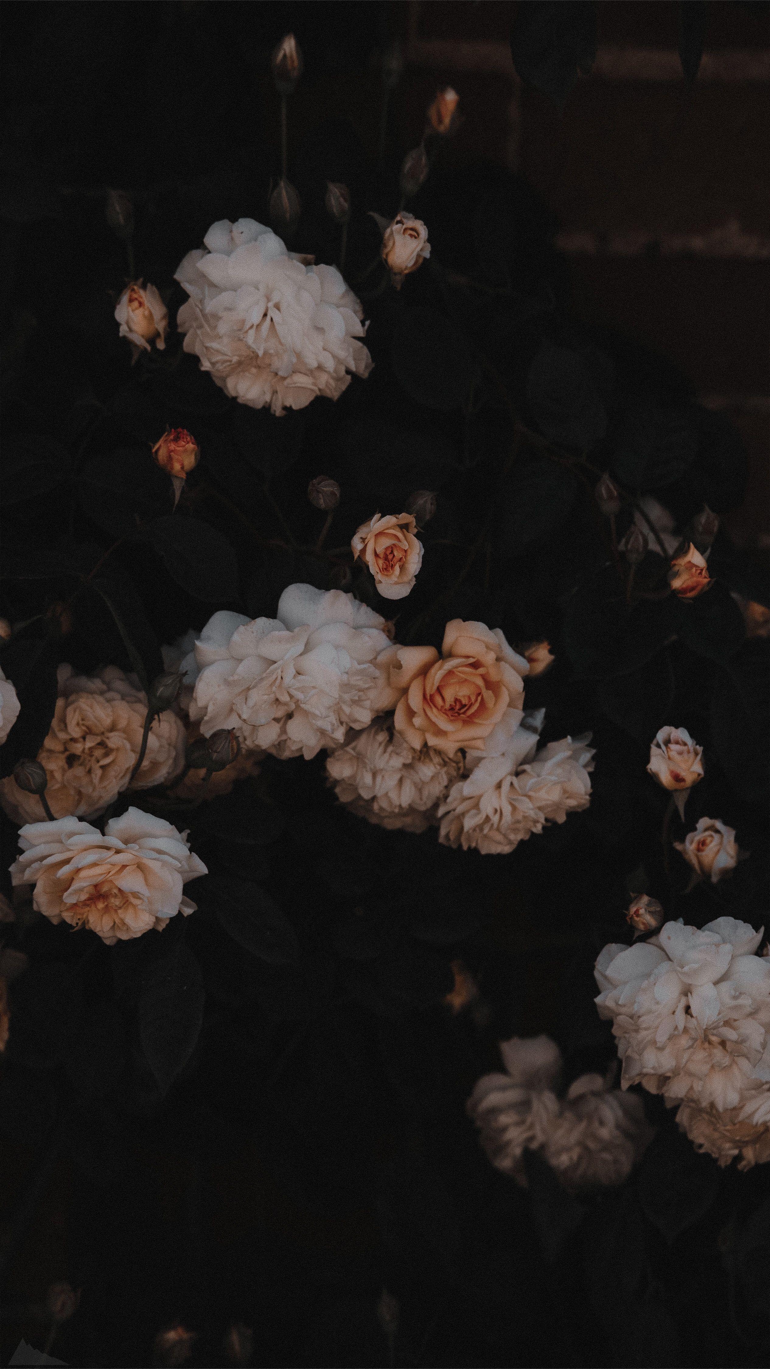 Dark Aesthetic Floral Wallpapers Top Free Dark Aesthetic Floral