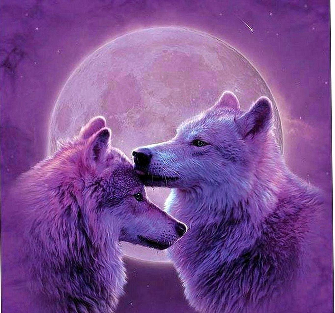 Purple Wolves Wallpapers Top Free Purple Wolves Backgrounds