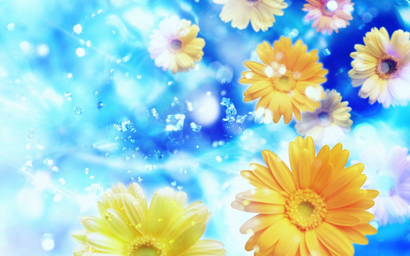 Windows 7 Flower Wallpapers Top Free Windows 7 Flower Backgrounds