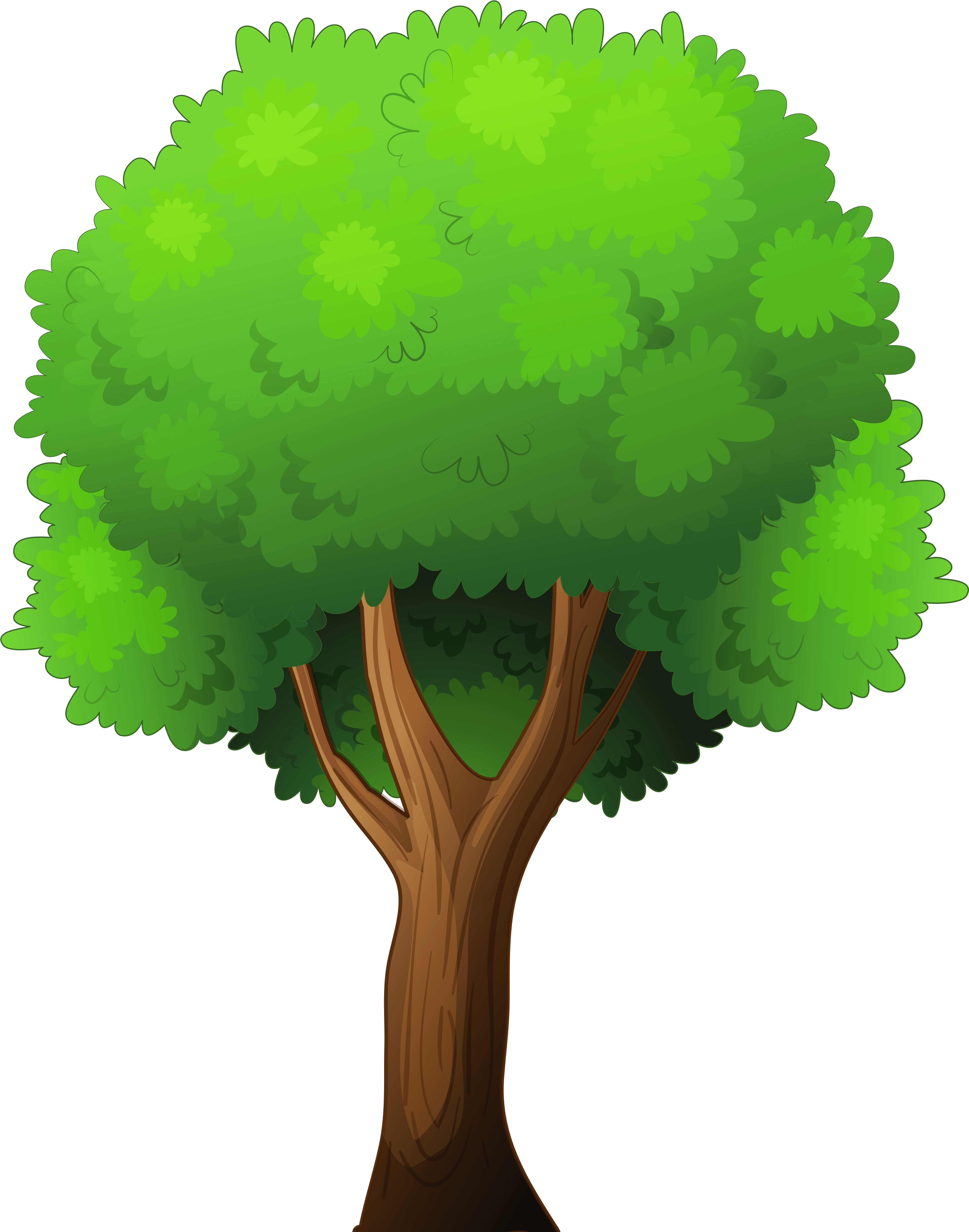 Tree Cartoon Wallpapers Top Free Tree Cartoon Backgrounds
