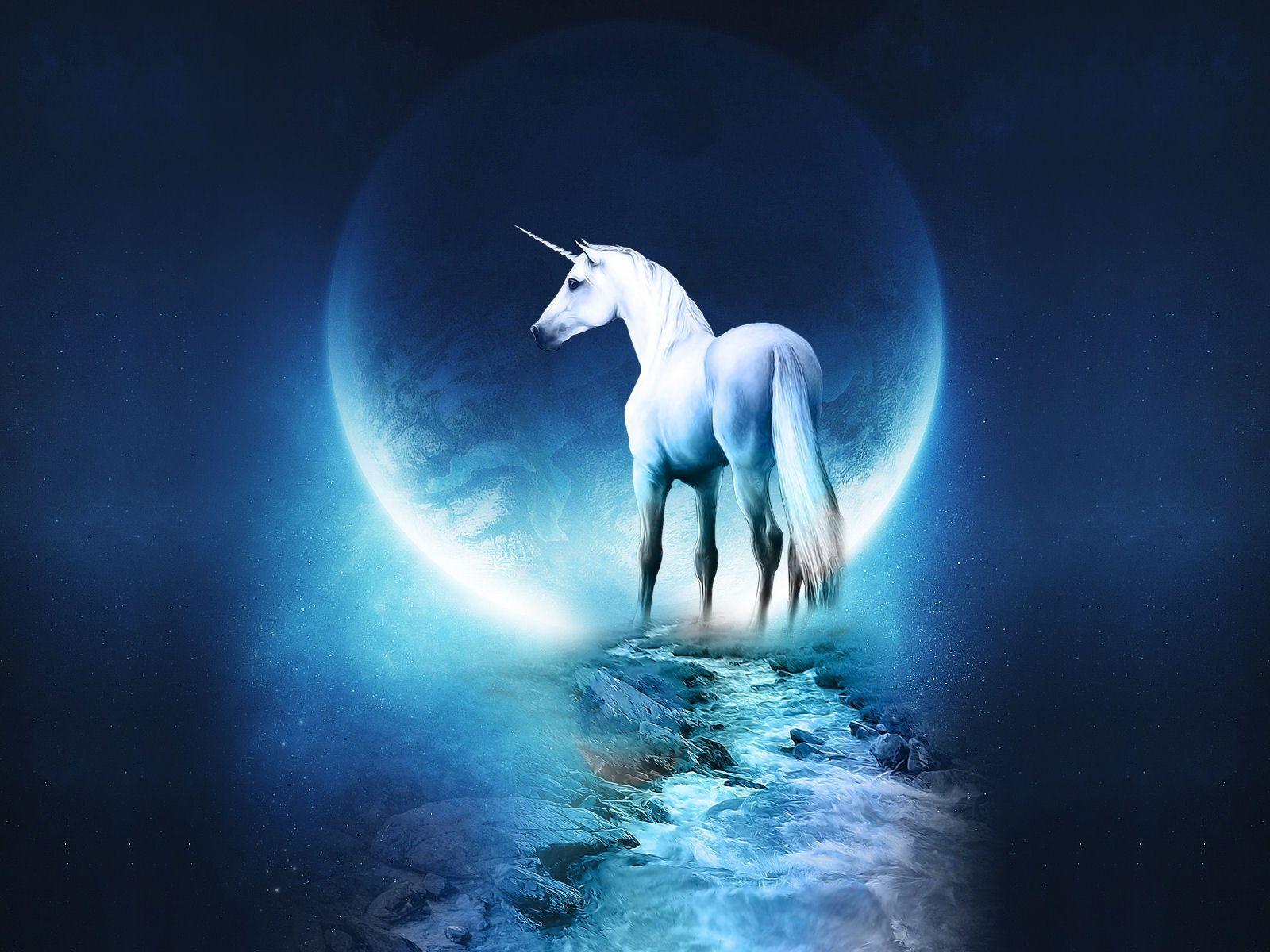 3D Unicorn Wallpapers Top Free 3D Unicorn Backgrounds WallpaperAccess