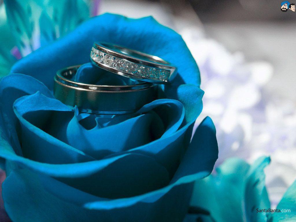 Blue Wedding Wallpapers Top Free Blue Wedding Backgrounds