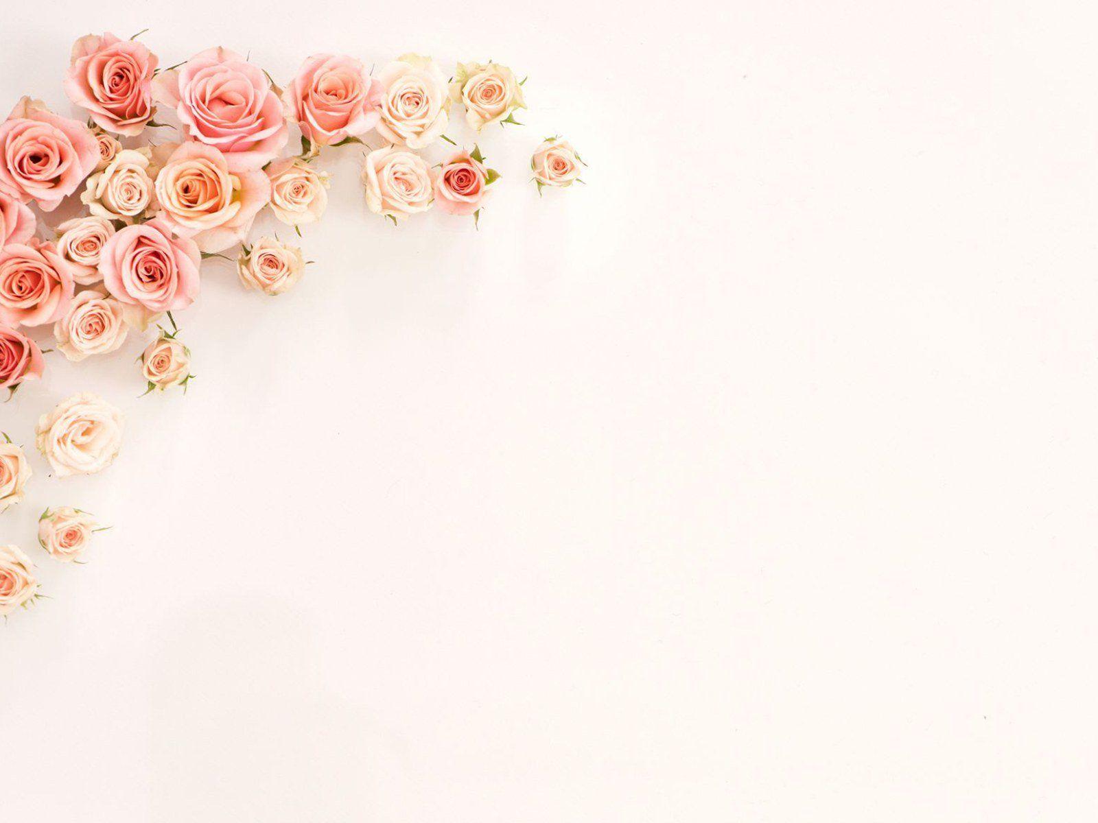 Rose Gold Flowers Wallpapers Top Free Rose Gold Flowers Backgrounds