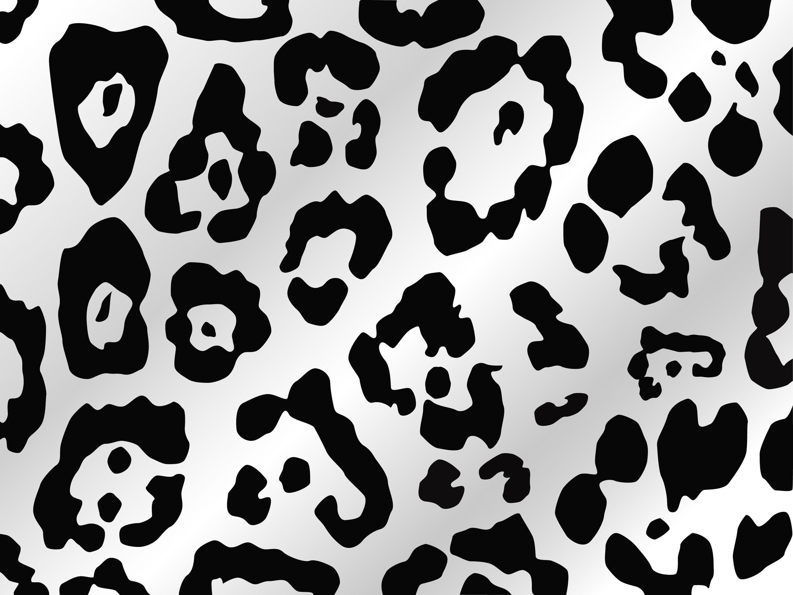 Black and White Animal Print Wallpapers Top Free Black and White