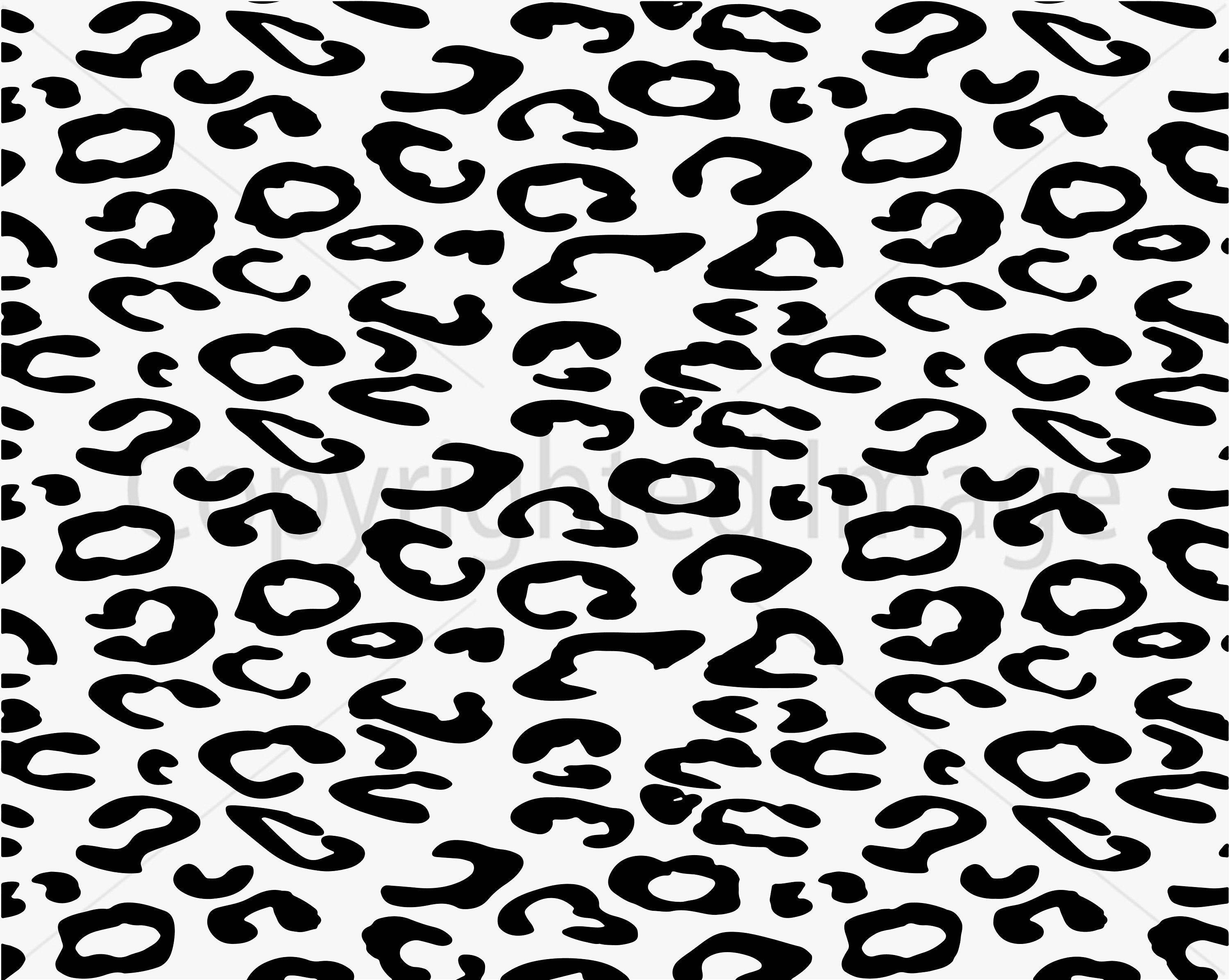 Black and White Animal Print Wallpapers Top Free Black and White