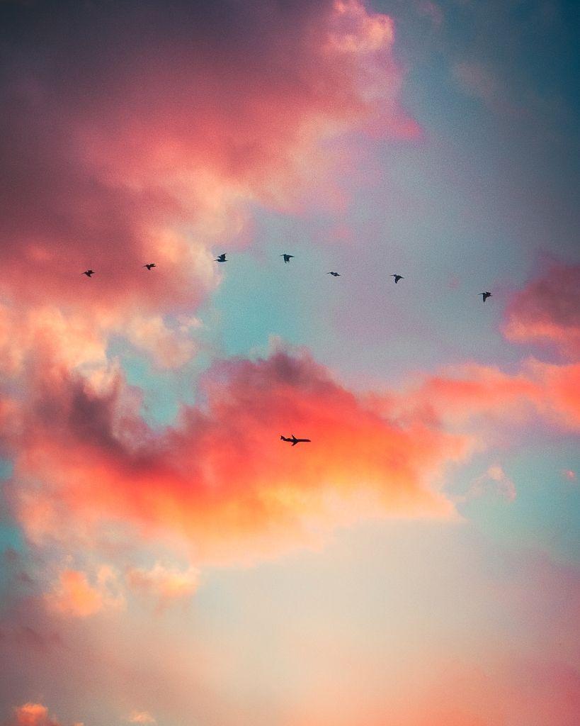 Birds and Clouds Wallpapers Top Free Birds and Clouds Backgrounds
