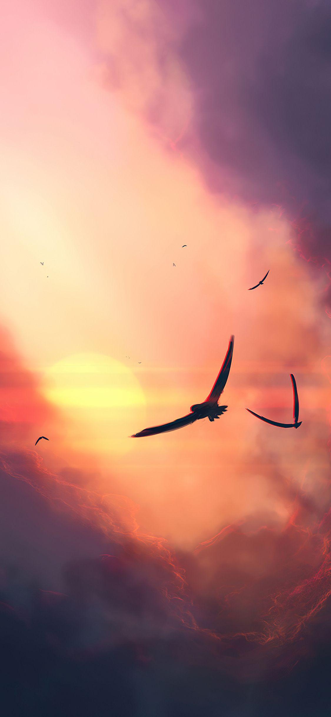 Birds and Clouds Wallpapers Top Free Birds and Clouds Backgrounds