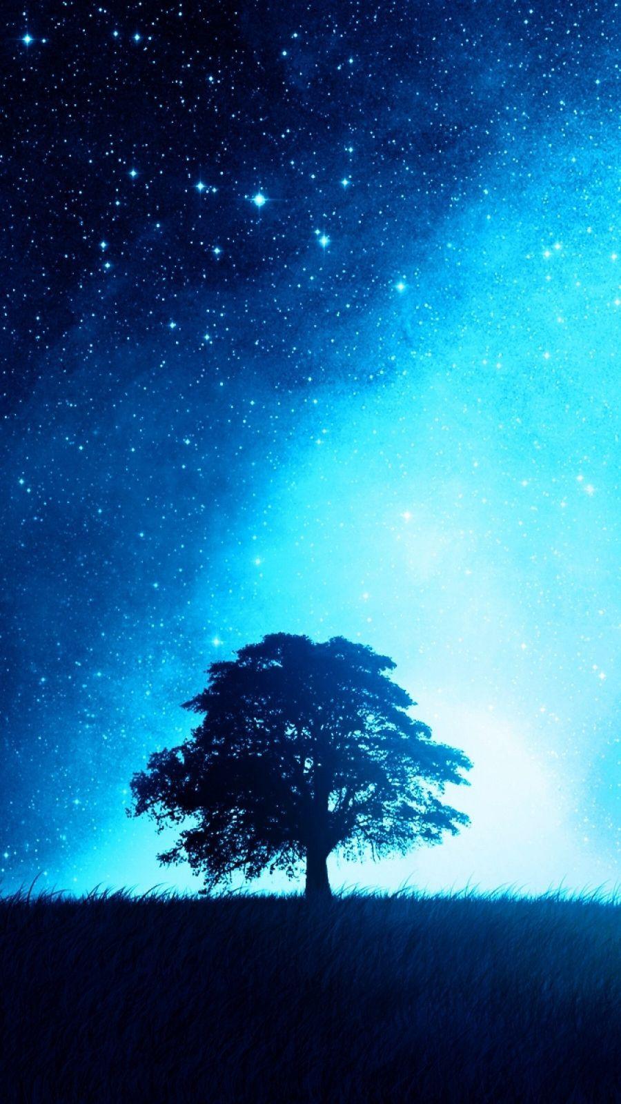 Sky and Tree Wallpapers Top Free Sky and Tree Backgrounds