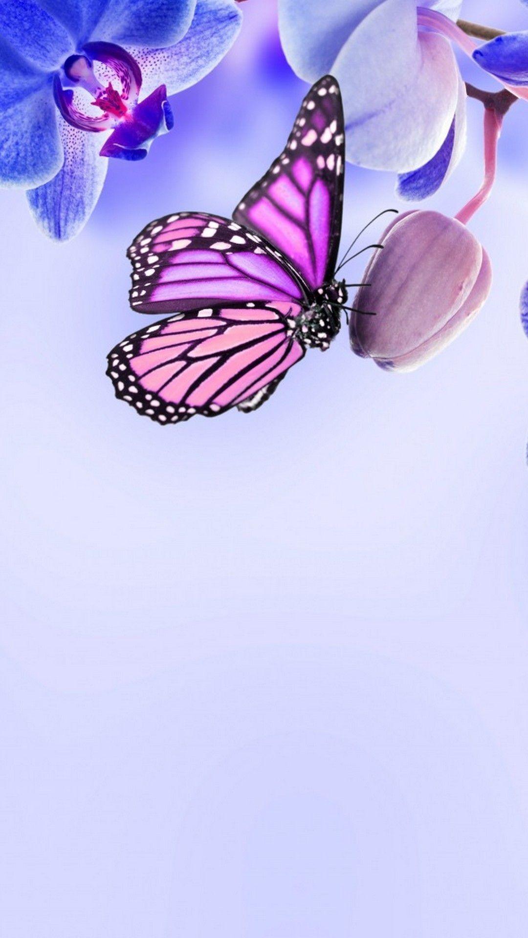 Purple Butterfly Phone Wallpapers Top Free Purple Butterfly Phone Backgrounds WallpaperAccess