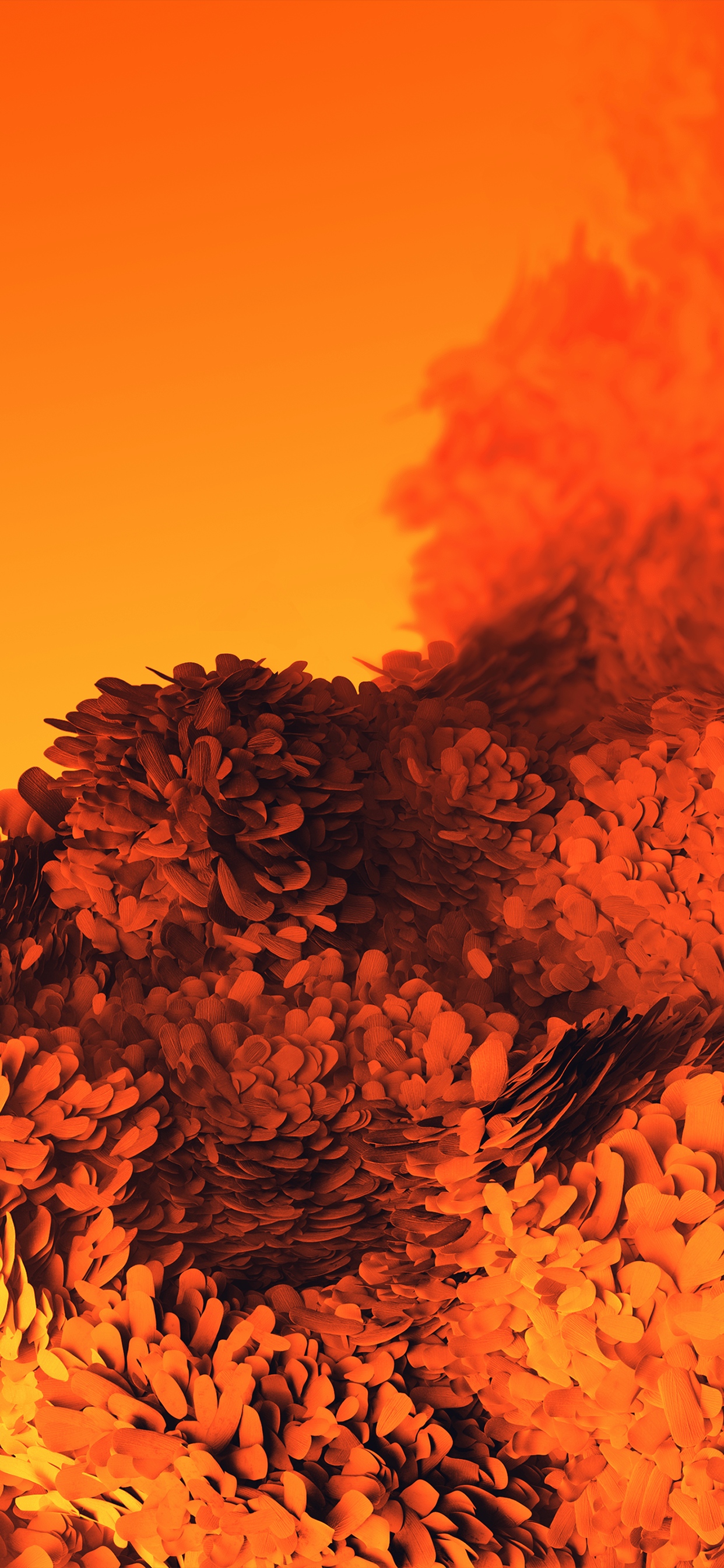 Orange iPhone 11 Wallpapers Top Free Orange iPhone 11 Backgrounds