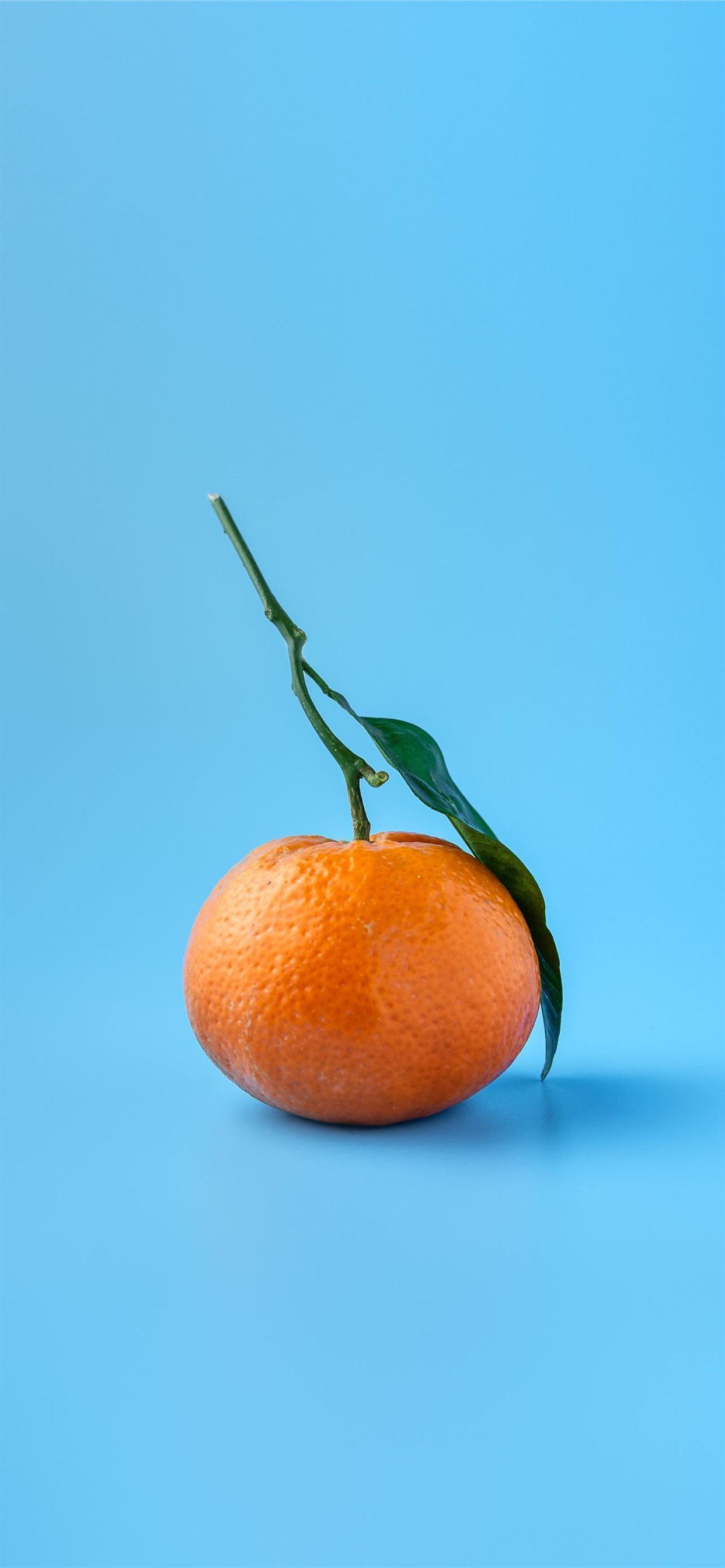 Orange iPhone 11 Wallpapers Top Free Orange iPhone 11 Backgrounds