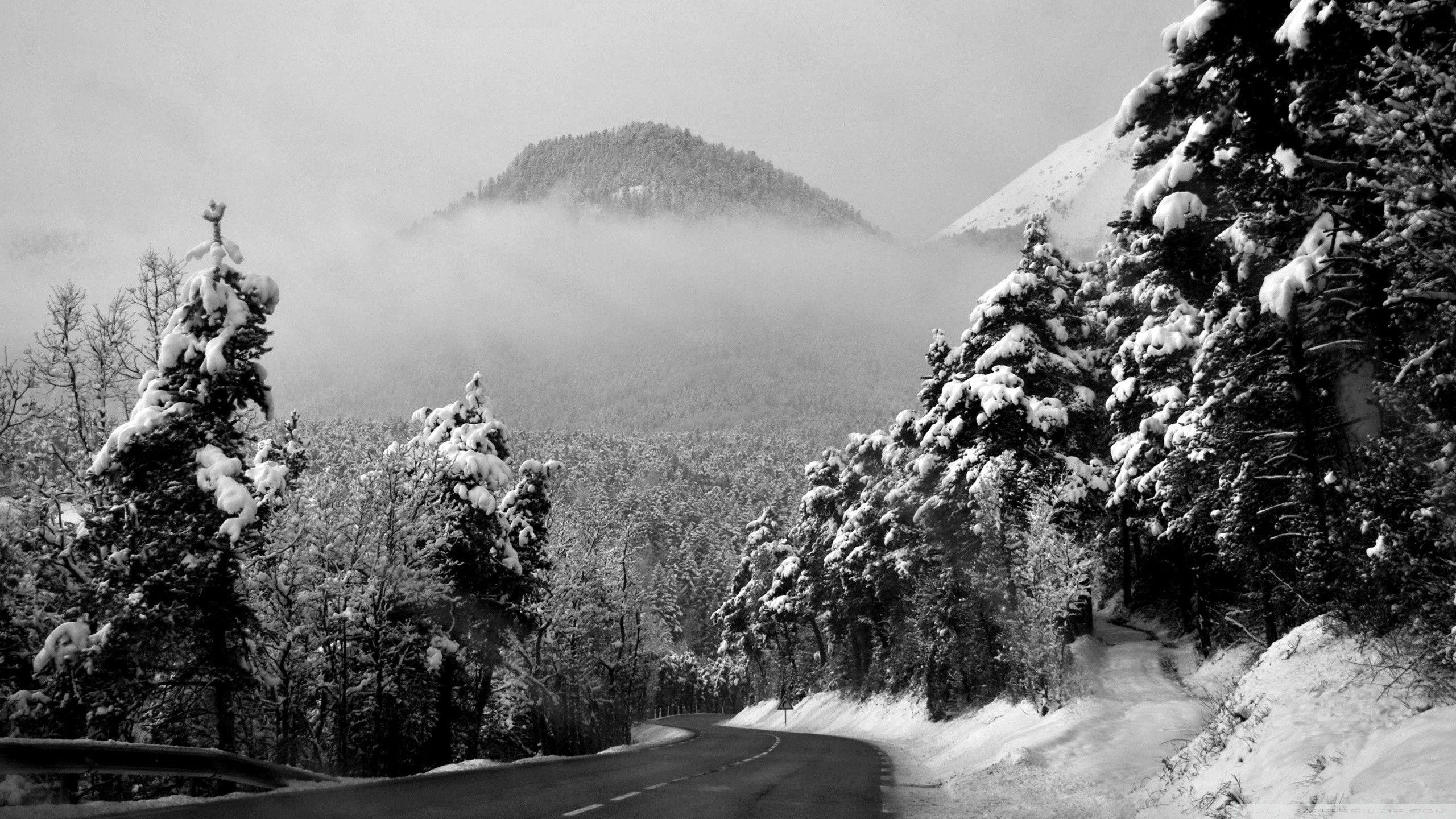 White Winter Wallpapers Top Free White Winter Backgrounds
